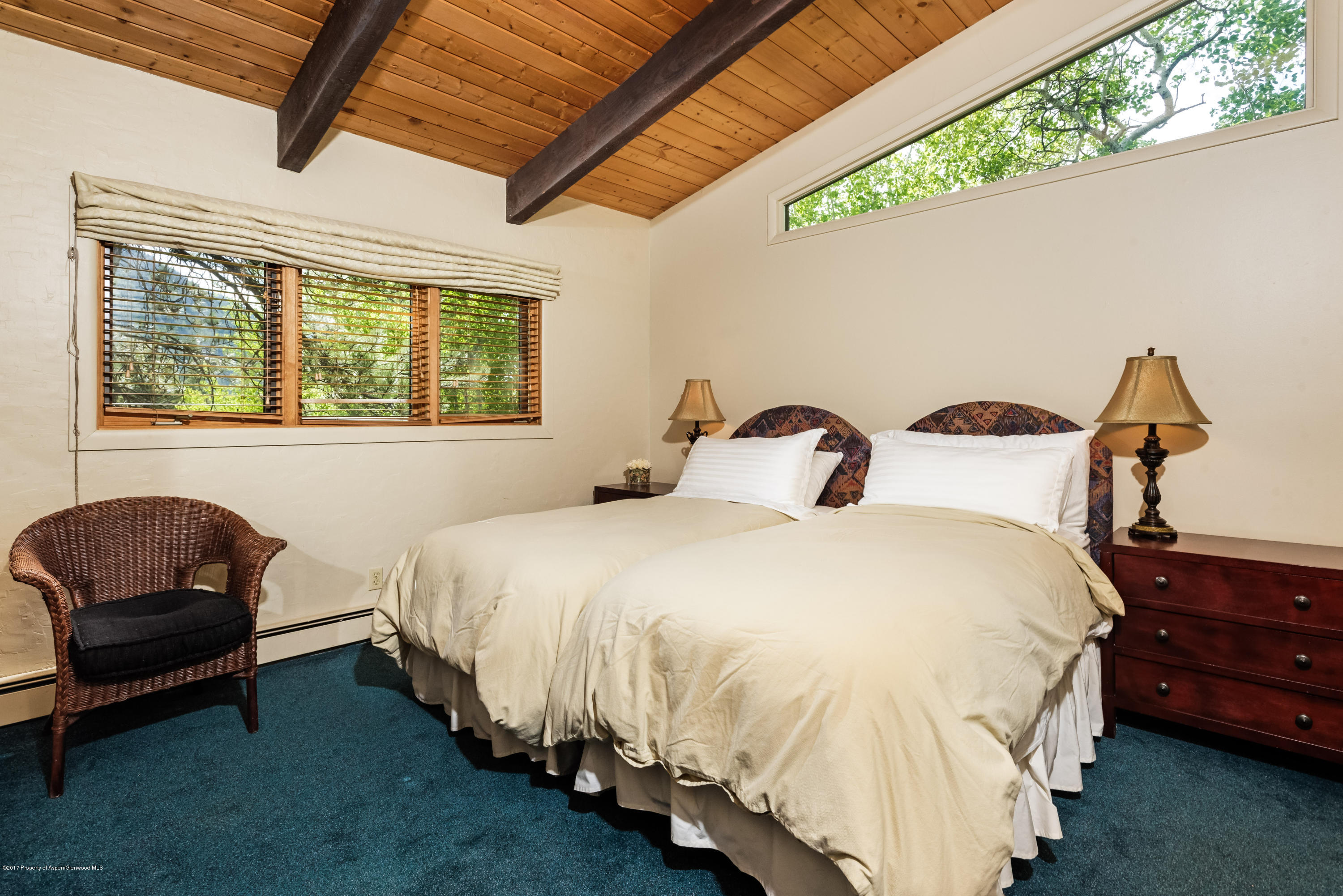 118 E Lupine Drive Aspen CO 81611