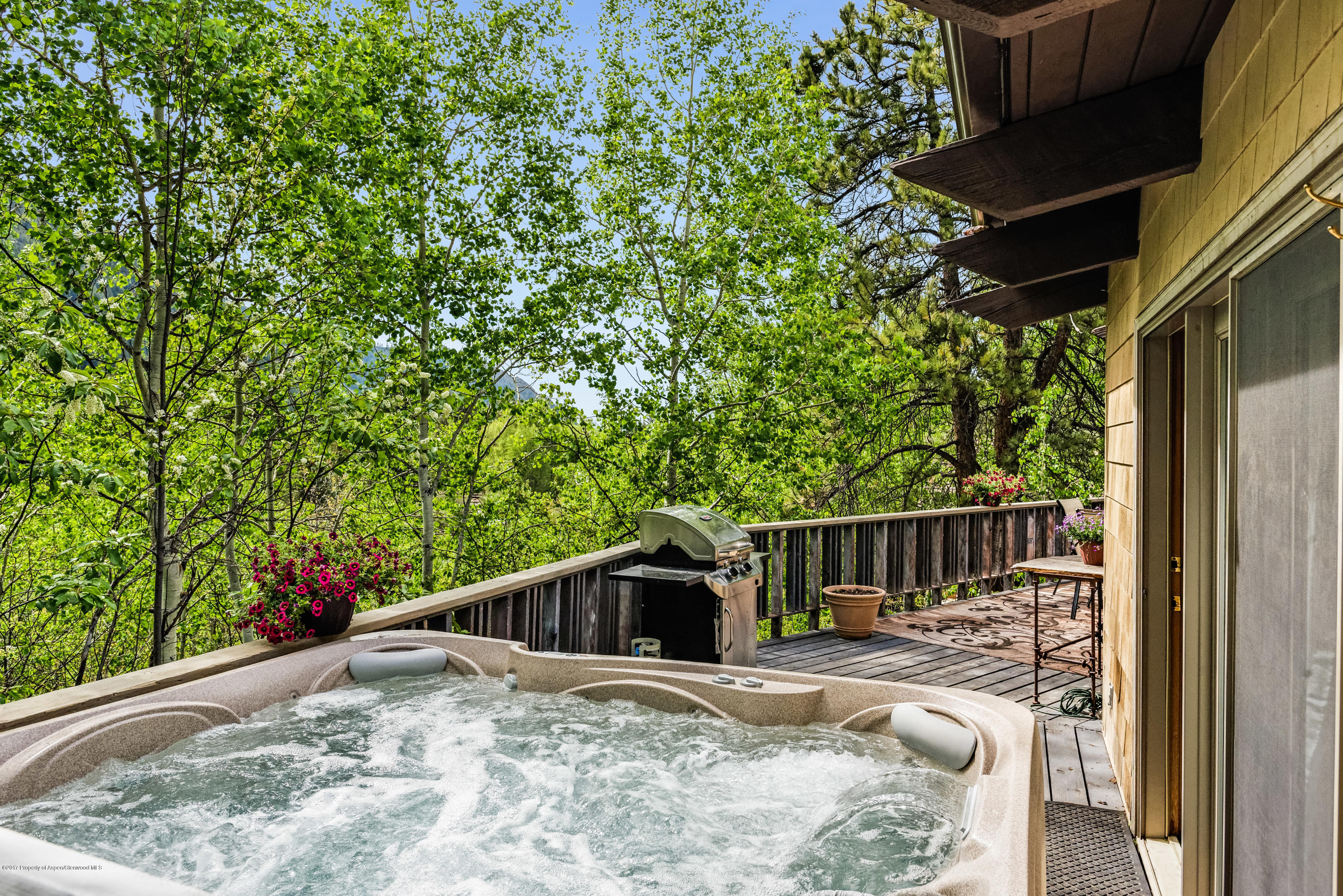 118 E Lupine Drive Aspen CO 81611