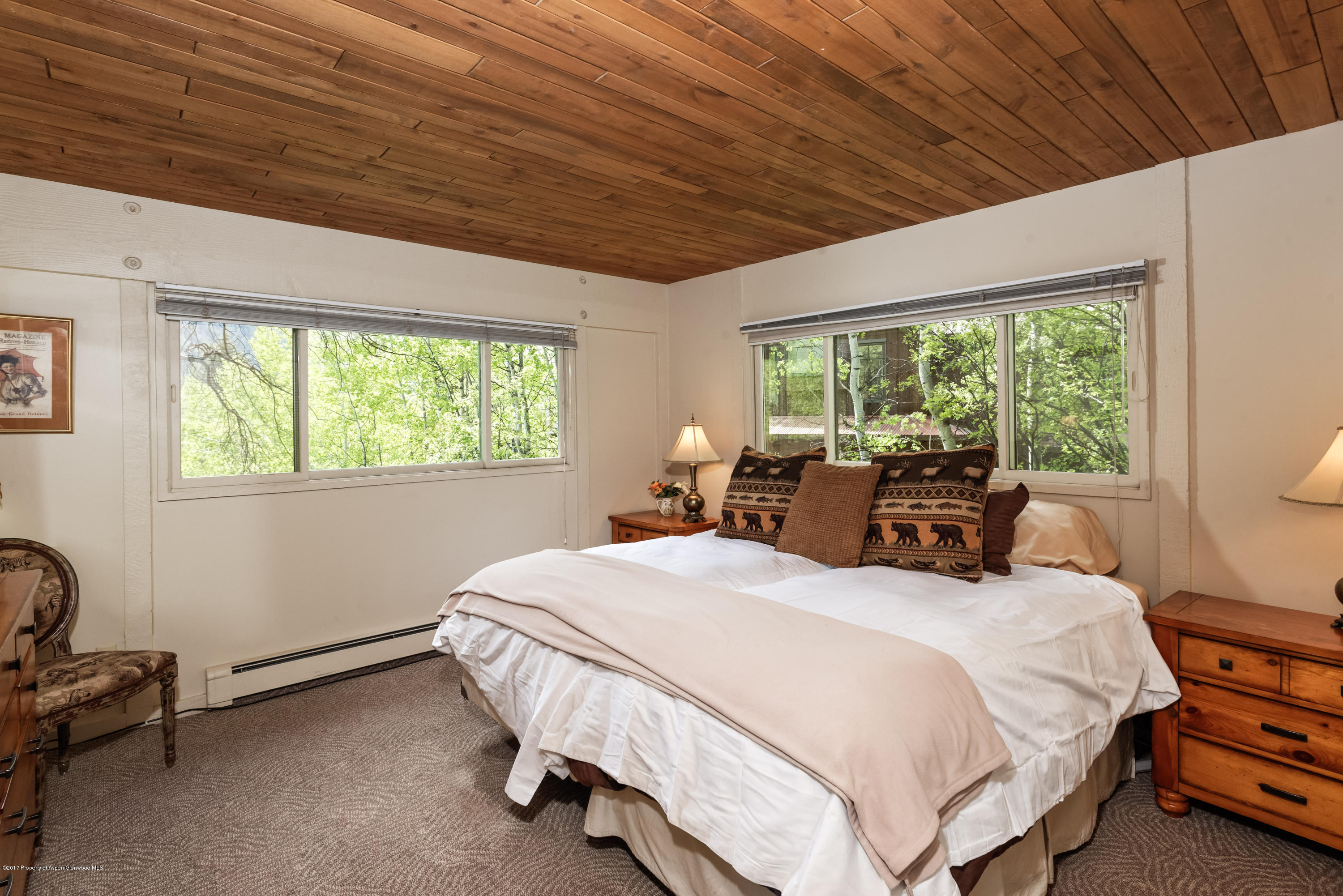 118 E Lupine Drive Aspen CO 81611