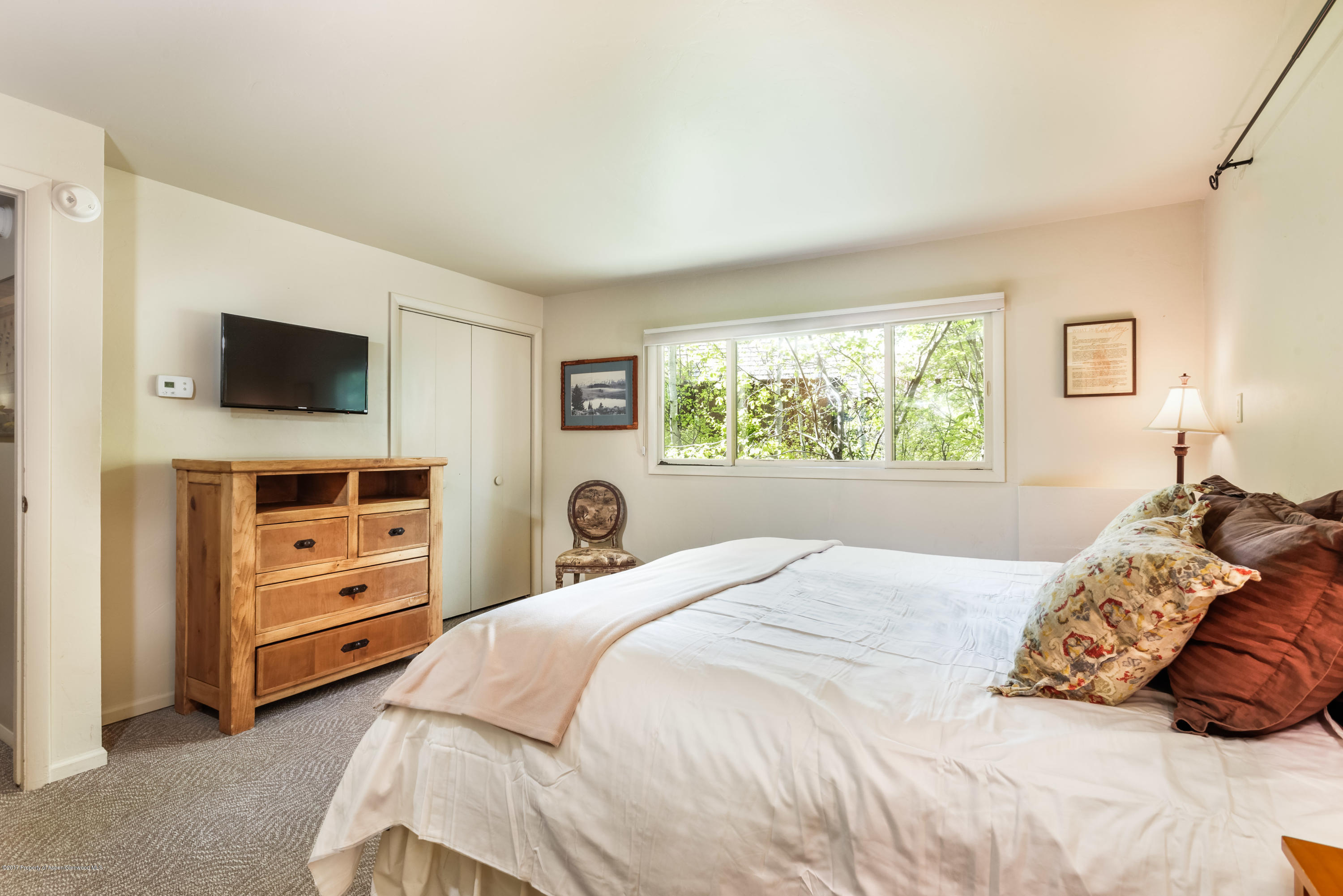 118 E Lupine Drive Aspen CO 81611