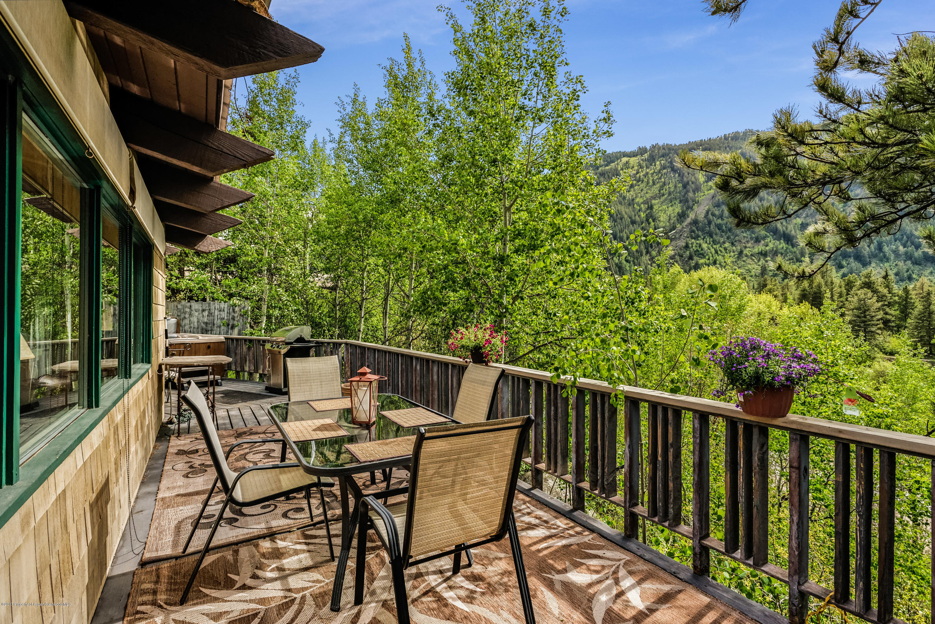 118 E Lupine Drive Aspen CO 81611