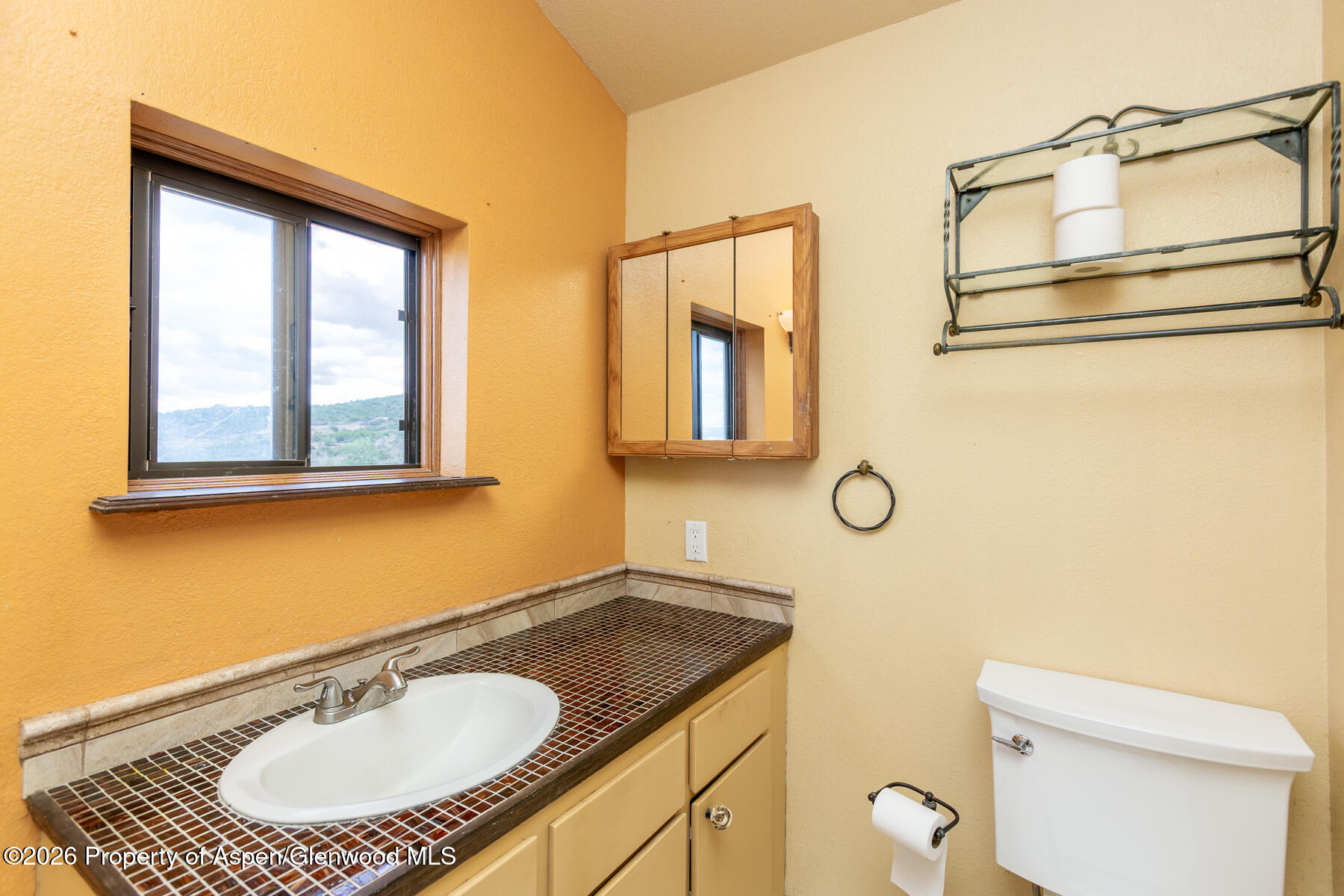 9121 54 Road Mesa CO 81643