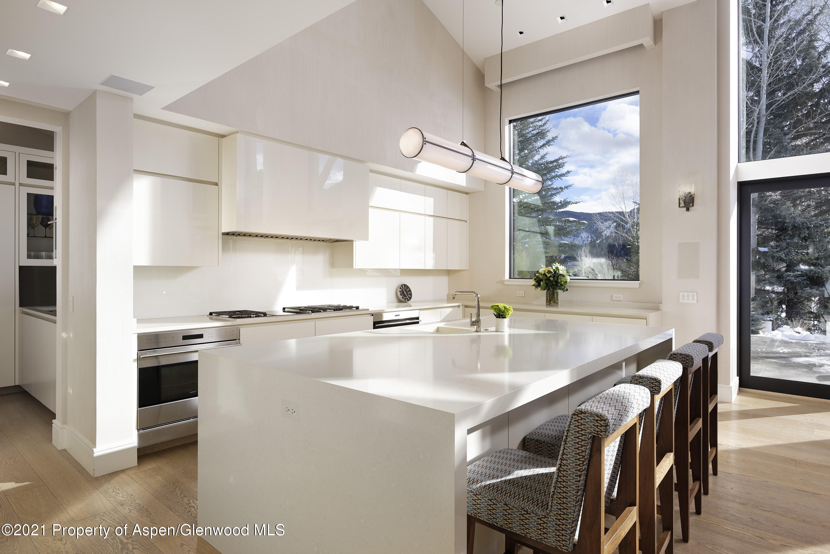 180 Heather Lane Aspen CO 81611