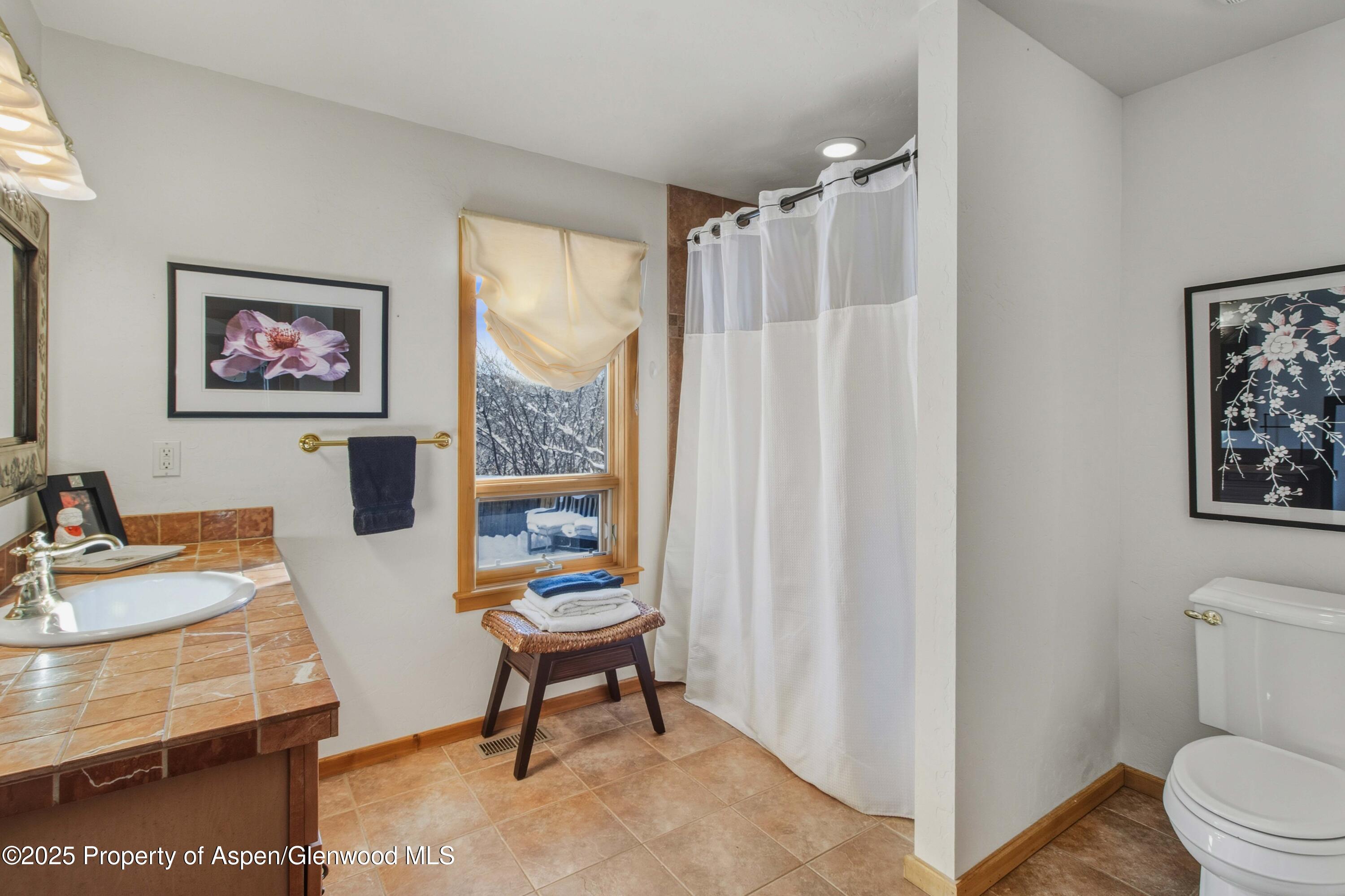 10 Old Midland Drive Glenwood Springs CO 81601