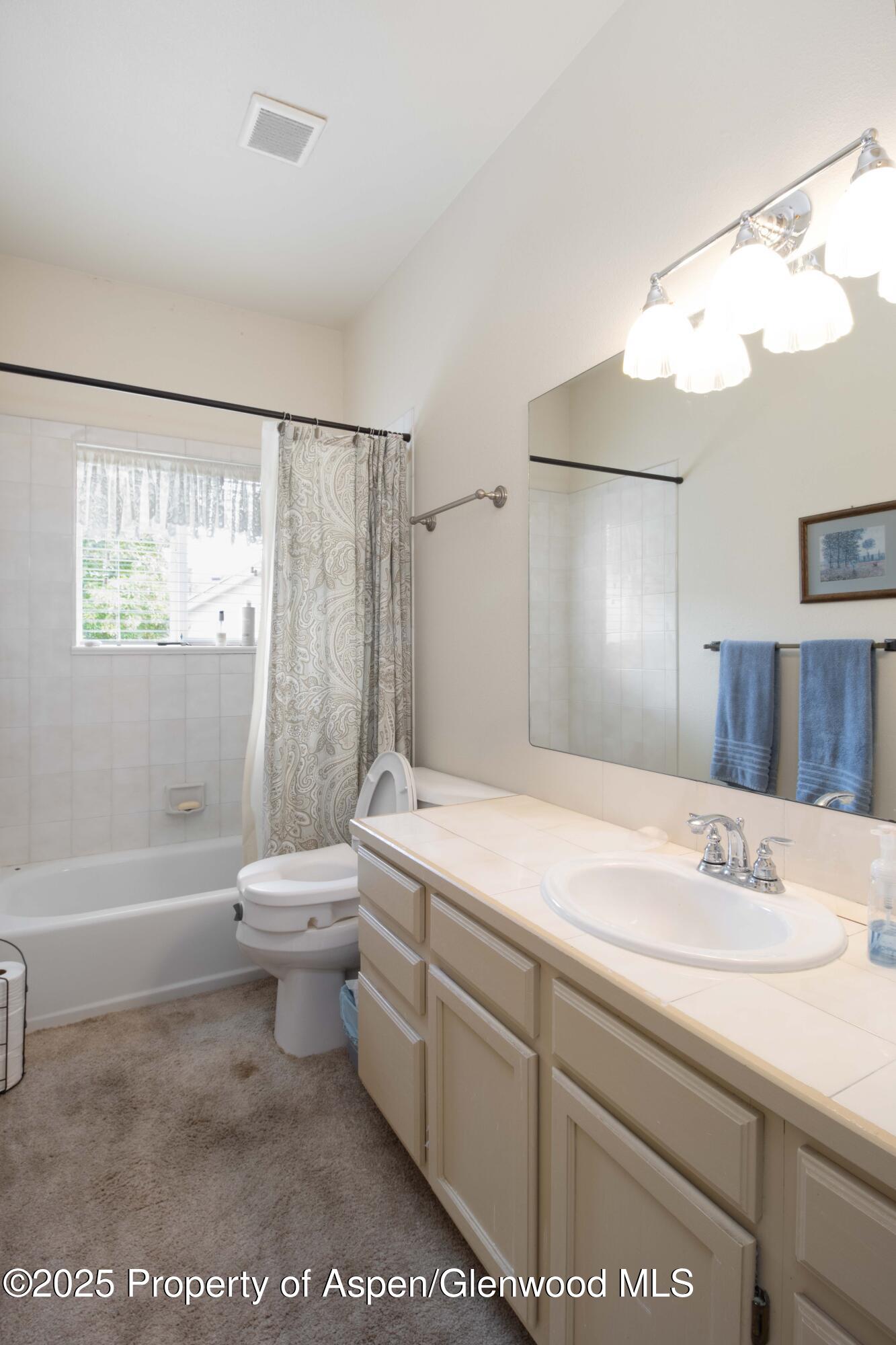 126 Willow Creek Trail Battlement Mesa CO 81635