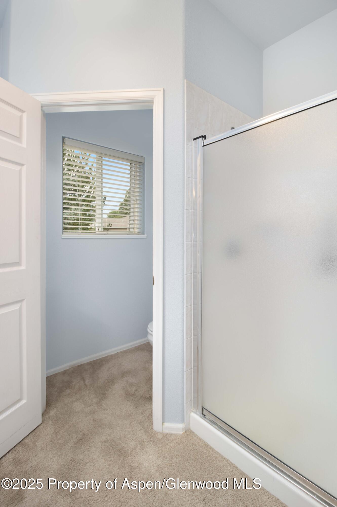 126 Willow Creek Trail Battlement Mesa CO 81635