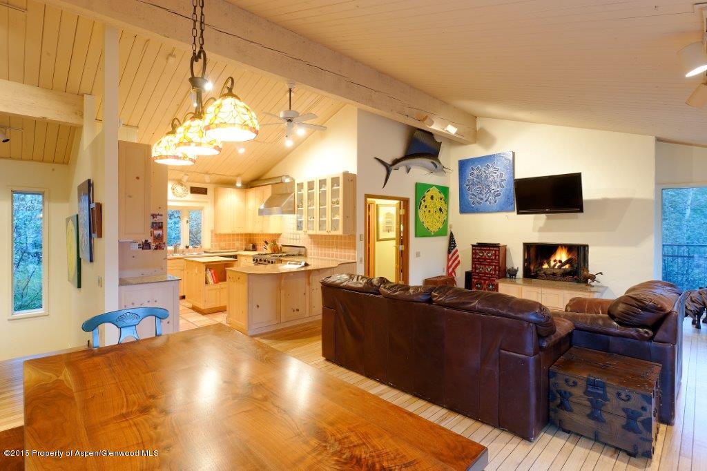 267 Roaring Fork Drive Aspen CO 81611