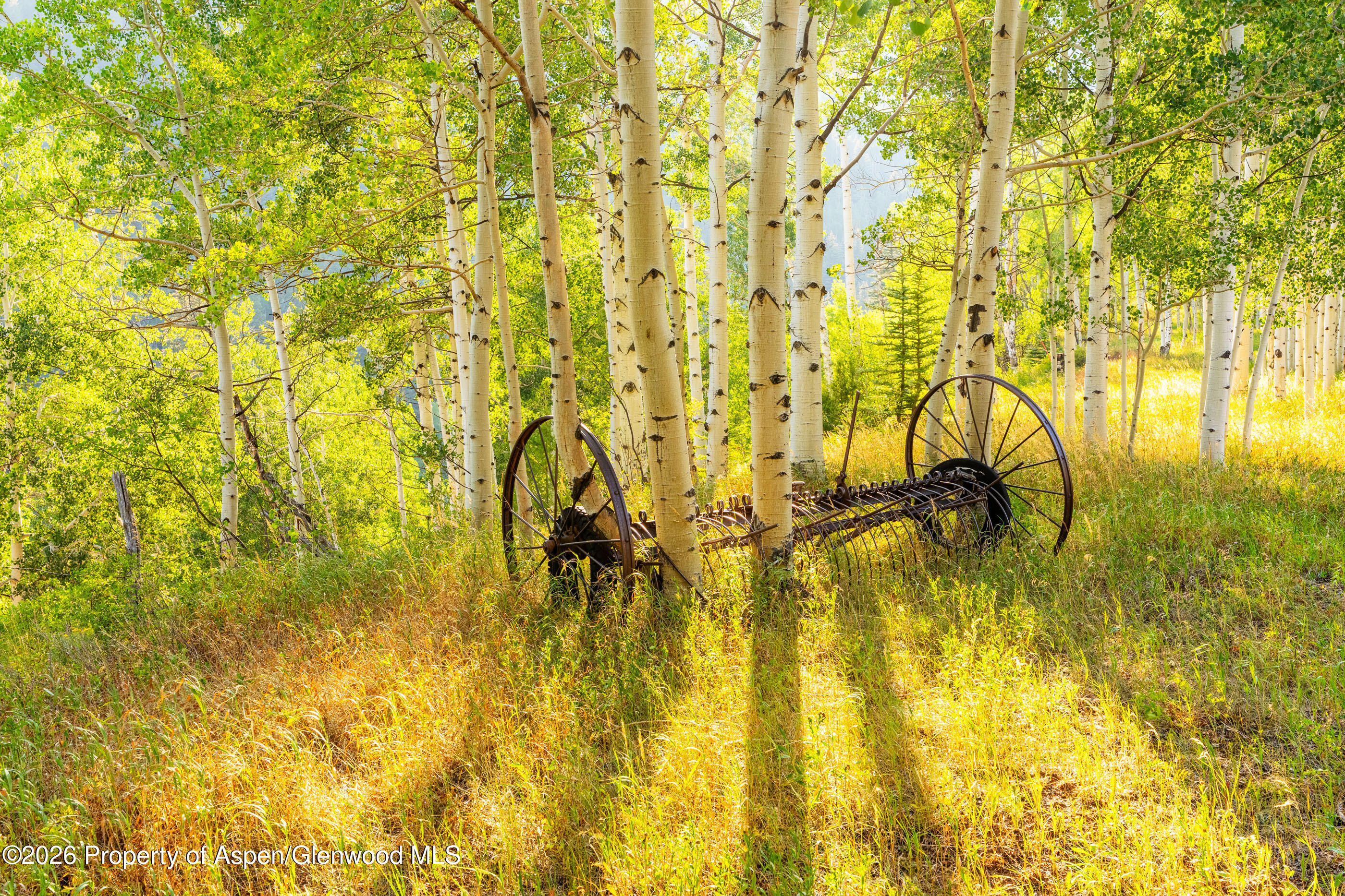 294 Ruedi Creek Road Basalt CO 81621