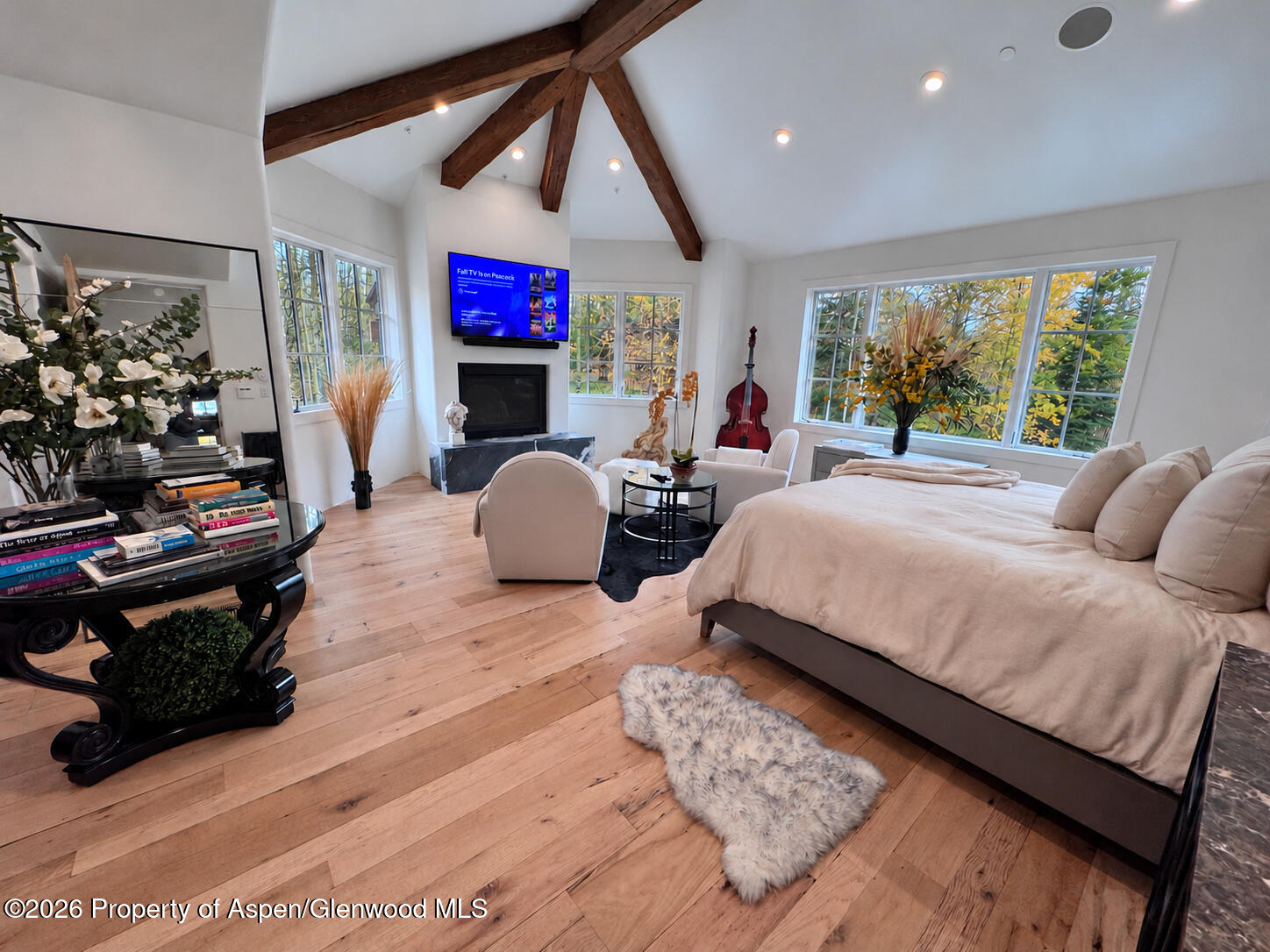 531 Moore Drive Aspen CO 81611