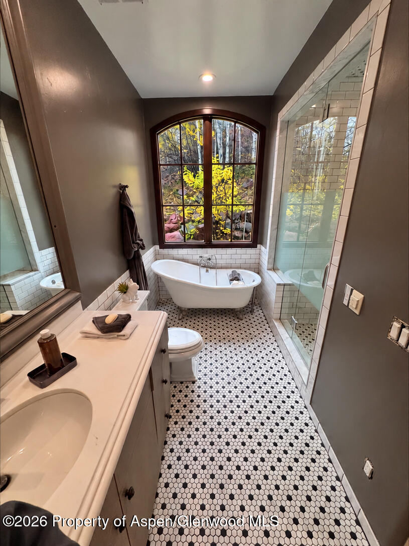 531 Moore Drive Aspen CO 81611