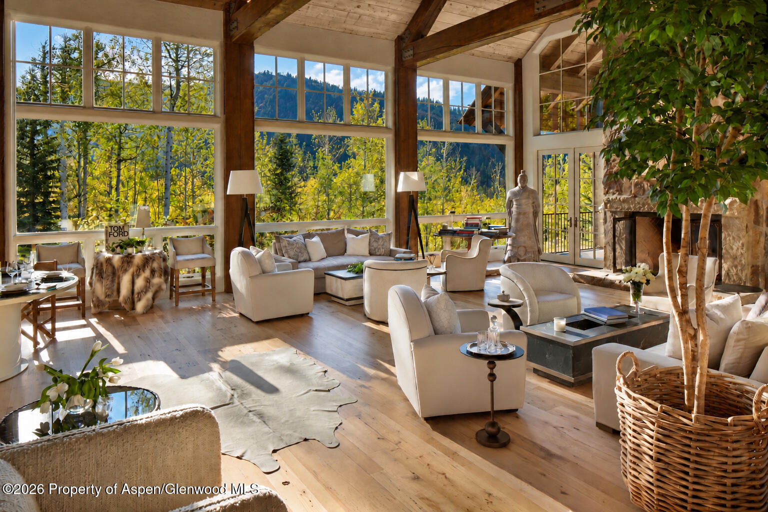 531 Moore Drive Aspen CO 81611