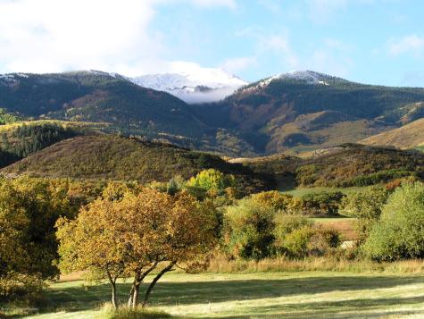 4516 Capitol Creek Road Snowmass CO 81654