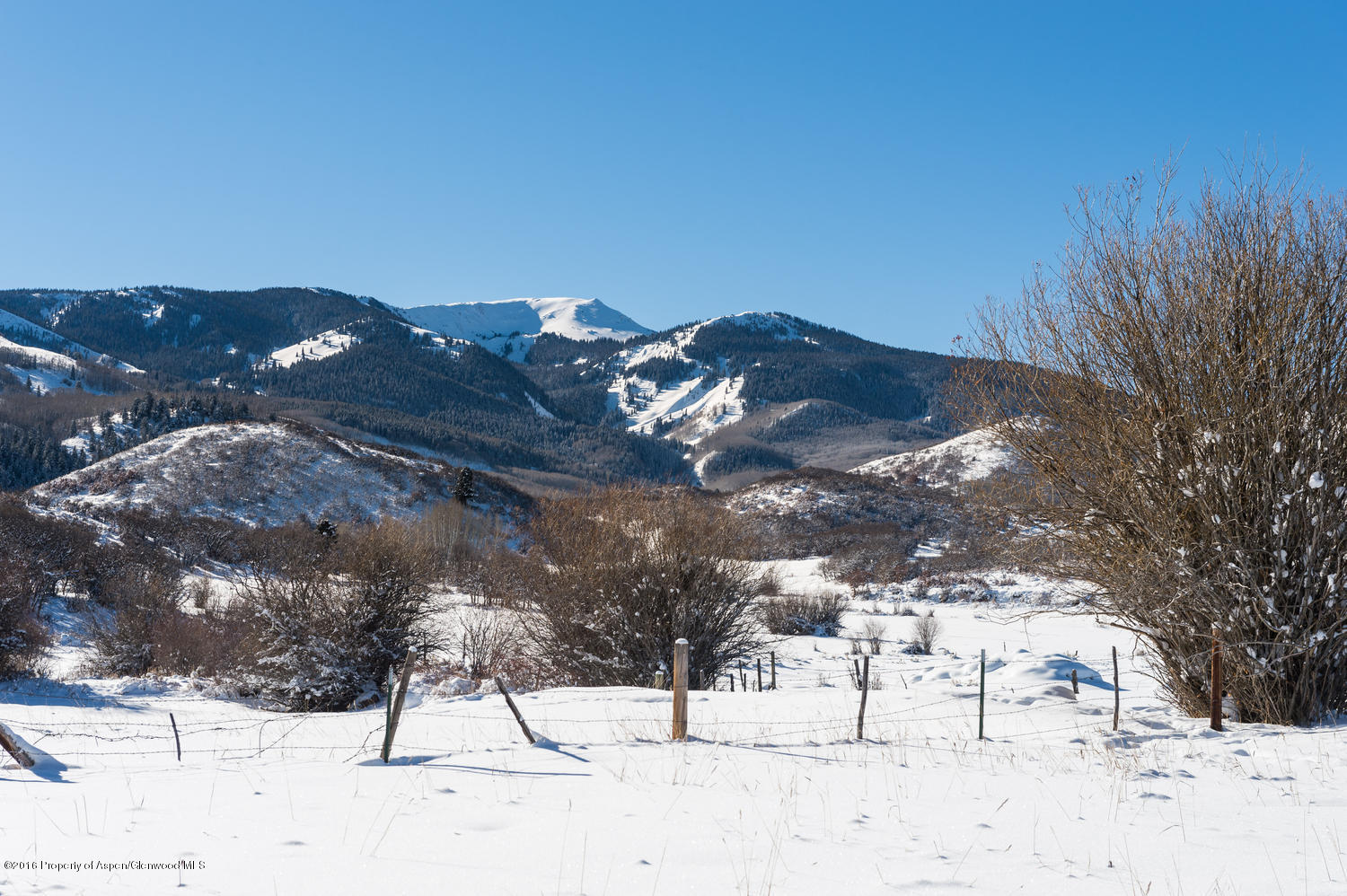 4516 Capitol Creek Road Snowmass CO 81654