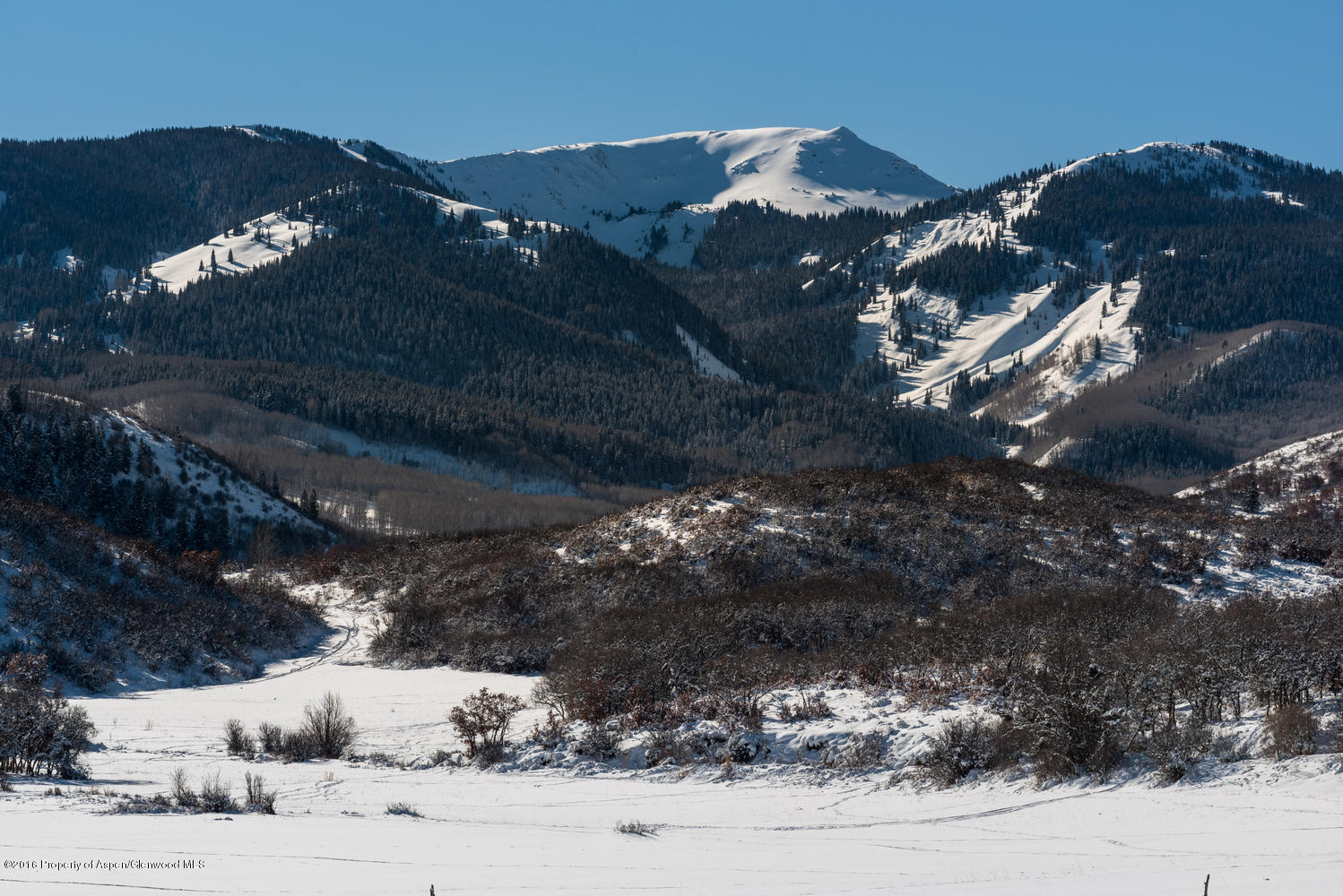 4516 Capitol Creek Road Snowmass CO 81654