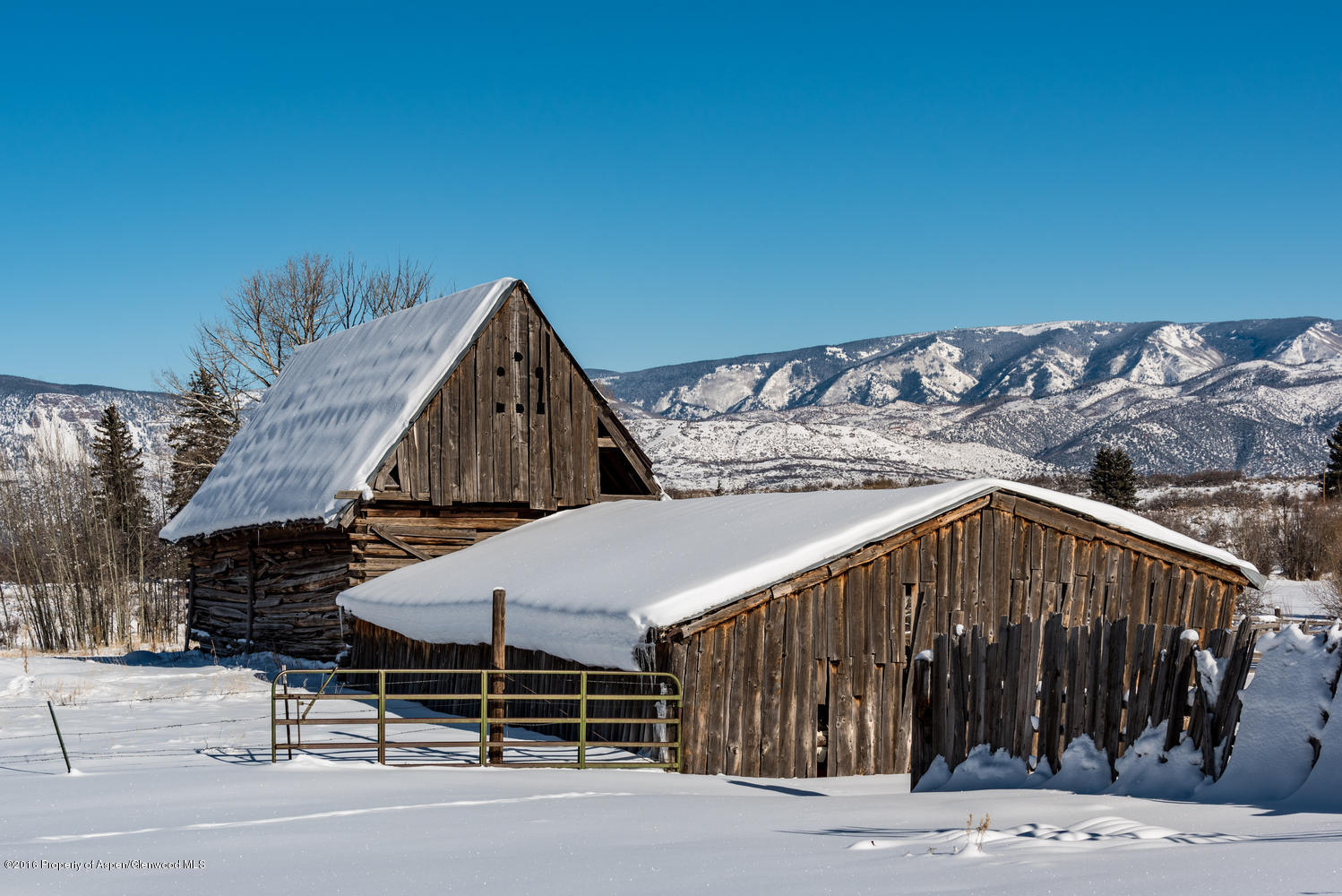 4516 Capitol Creek Road Snowmass CO 81654