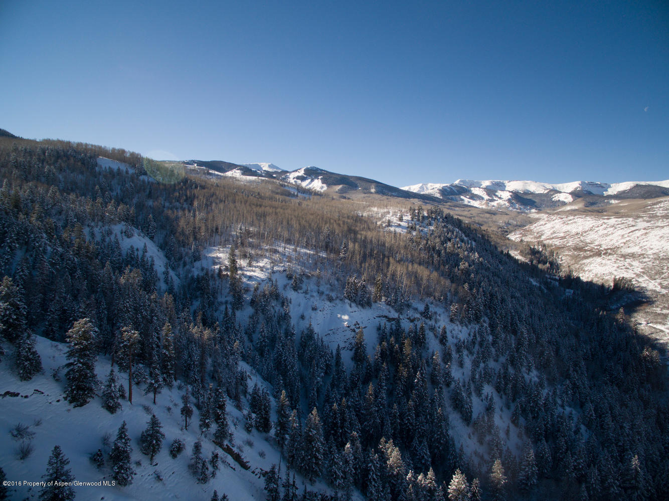 4516 Capitol Creek Road Snowmass CO 81654