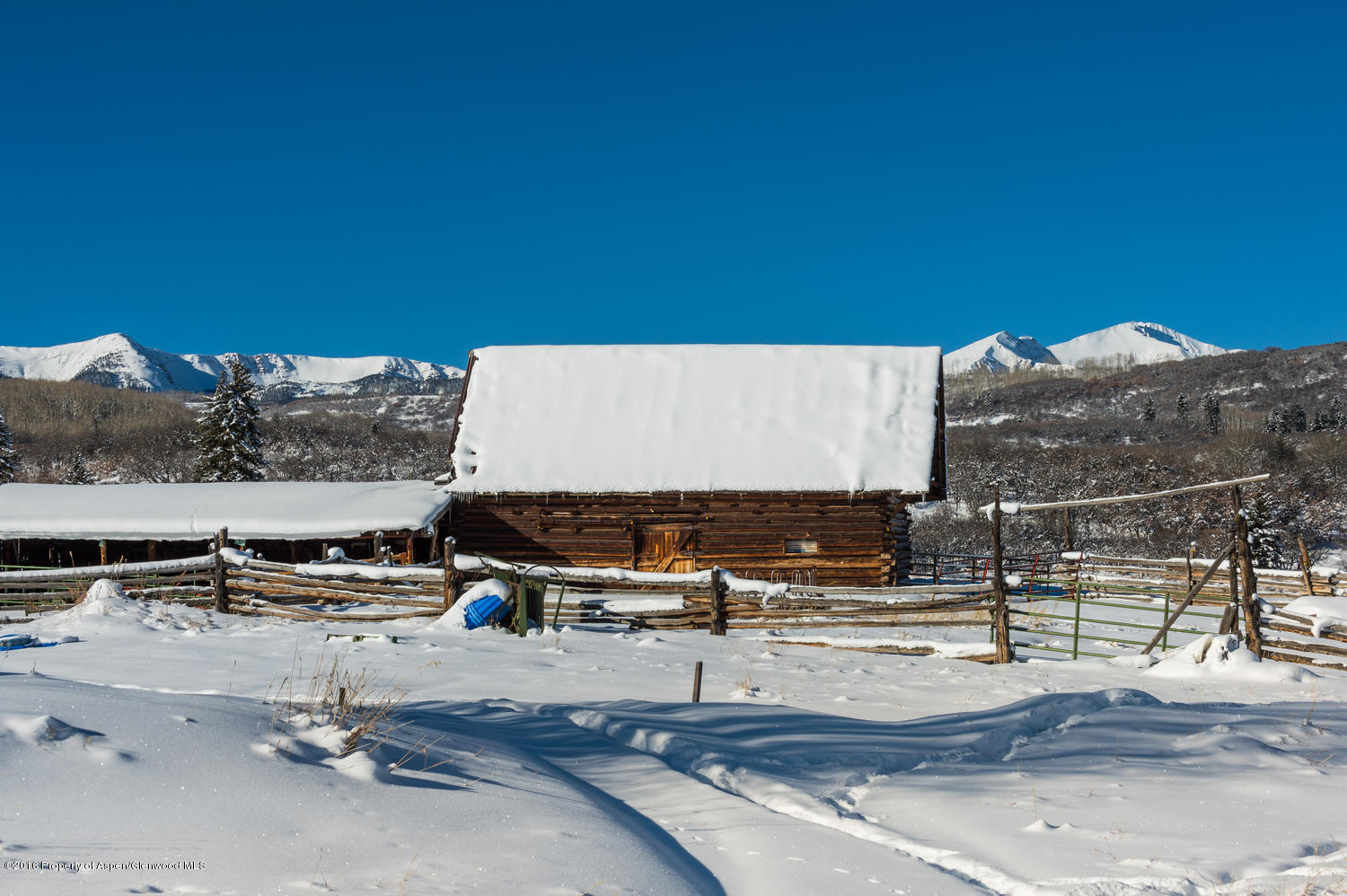 4516 Capitol Creek Road Snowmass CO 81654