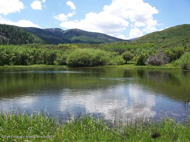 4516 Capitol Creek Road Snowmass CO 81654