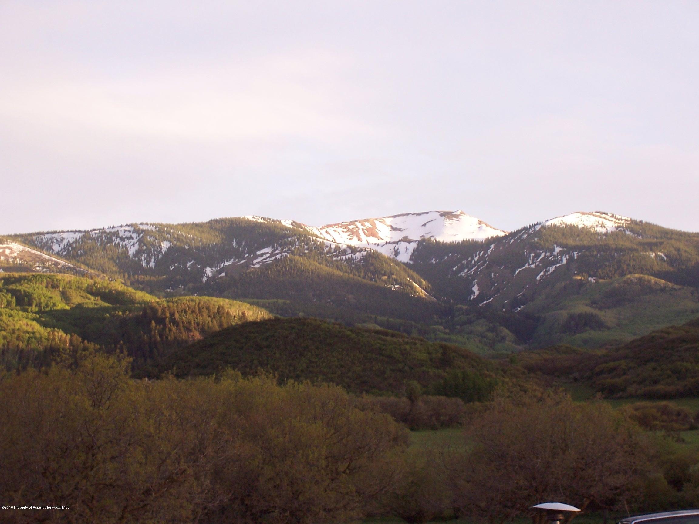 4516 Capitol Creek Road Snowmass CO 81654
