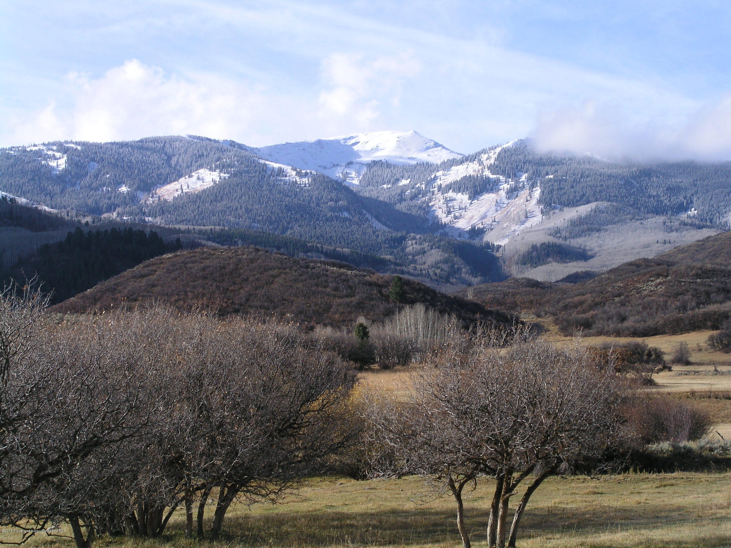 4516 Capitol Creek Road Snowmass CO 81654