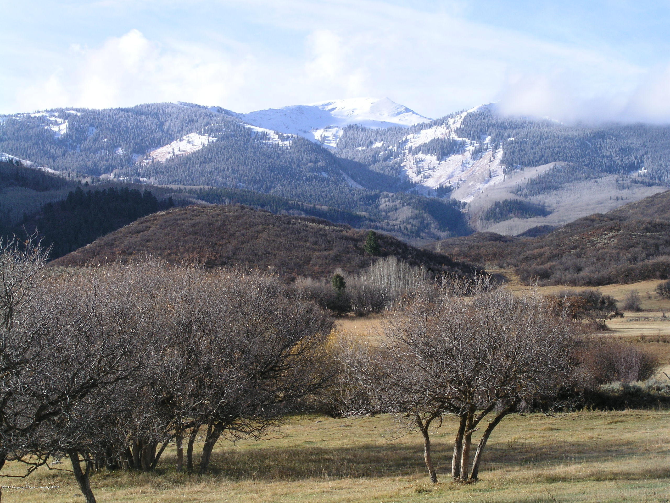 4516 Capitol Creek Road Snowmass CO 81654