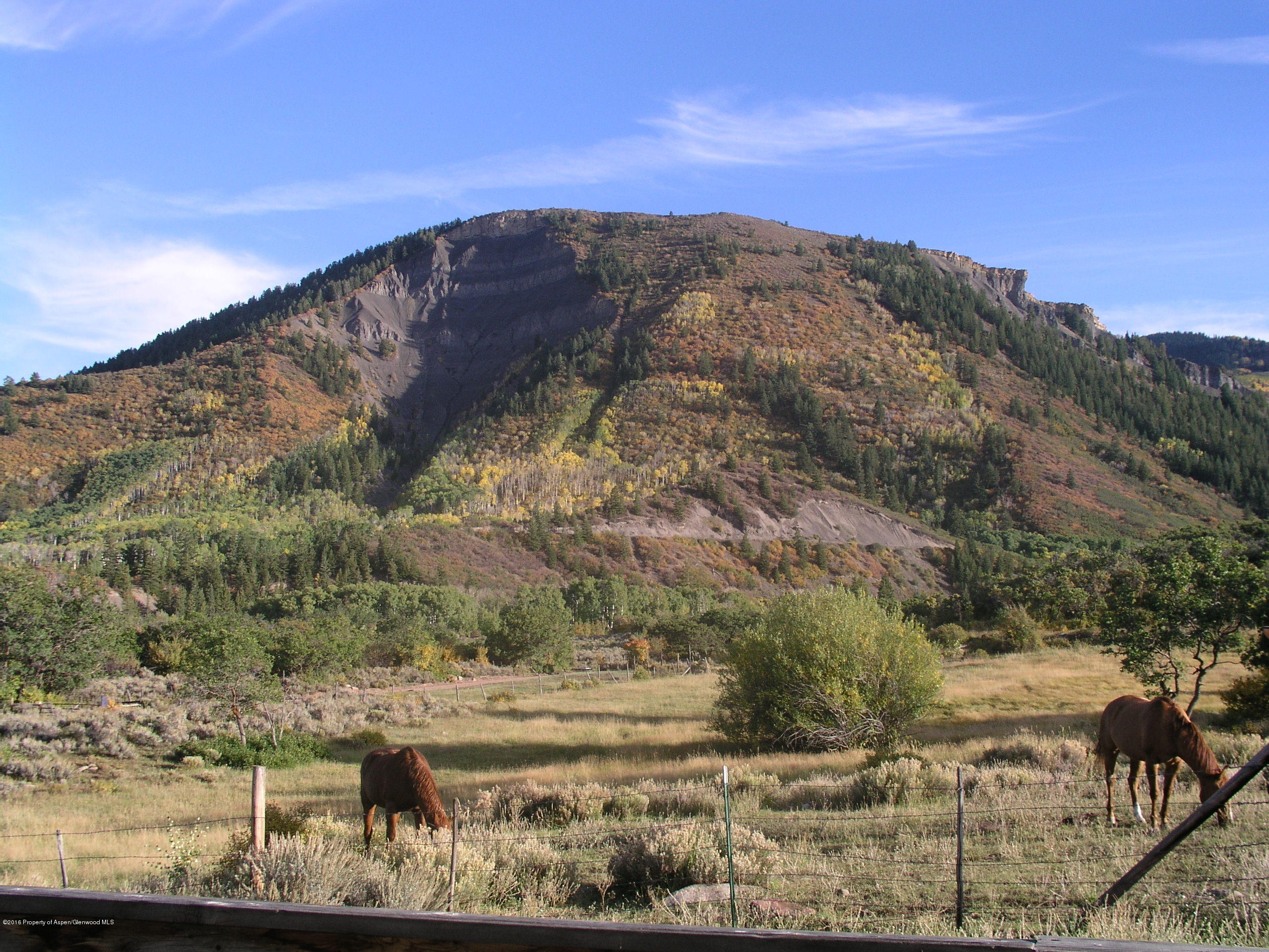 4516 Capitol Creek Road Snowmass CO 81654