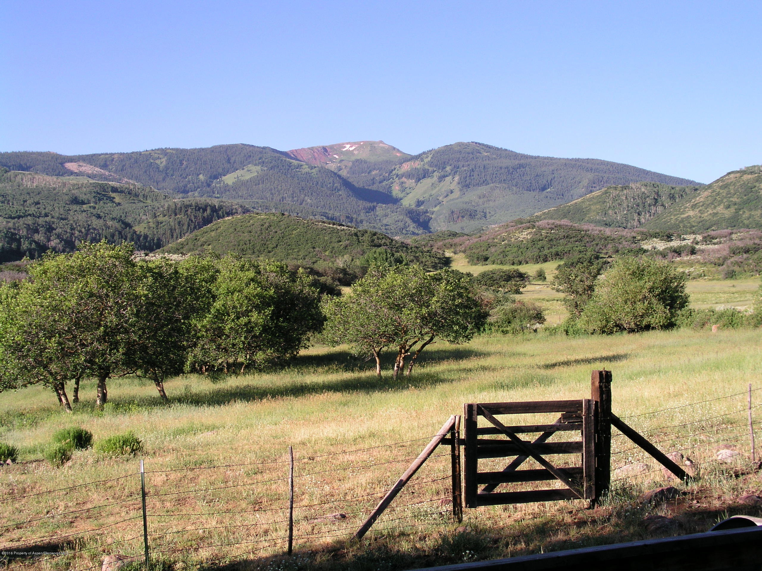 4516 Capitol Creek Road Snowmass CO 81654