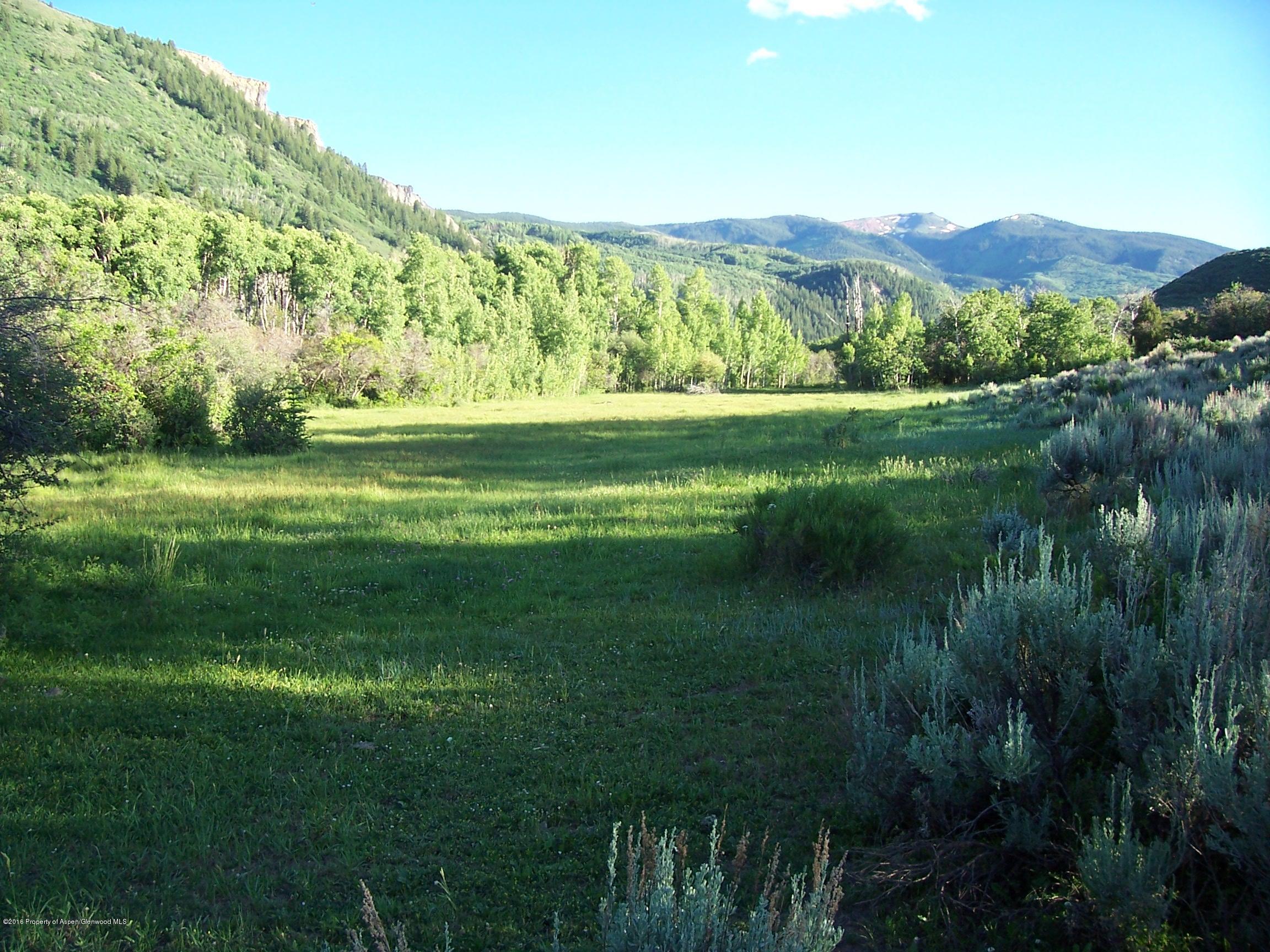 4516 Capitol Creek Road Snowmass CO 81654