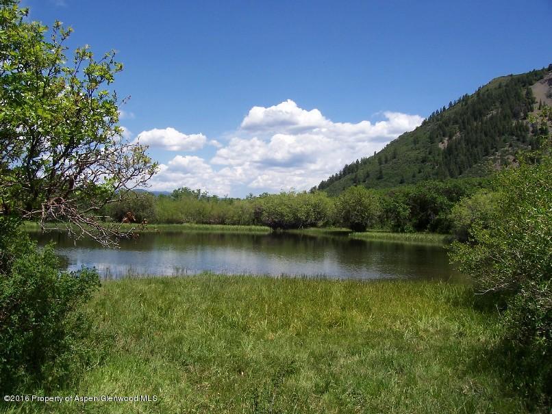 4516 Capitol Creek Road Snowmass CO 81654