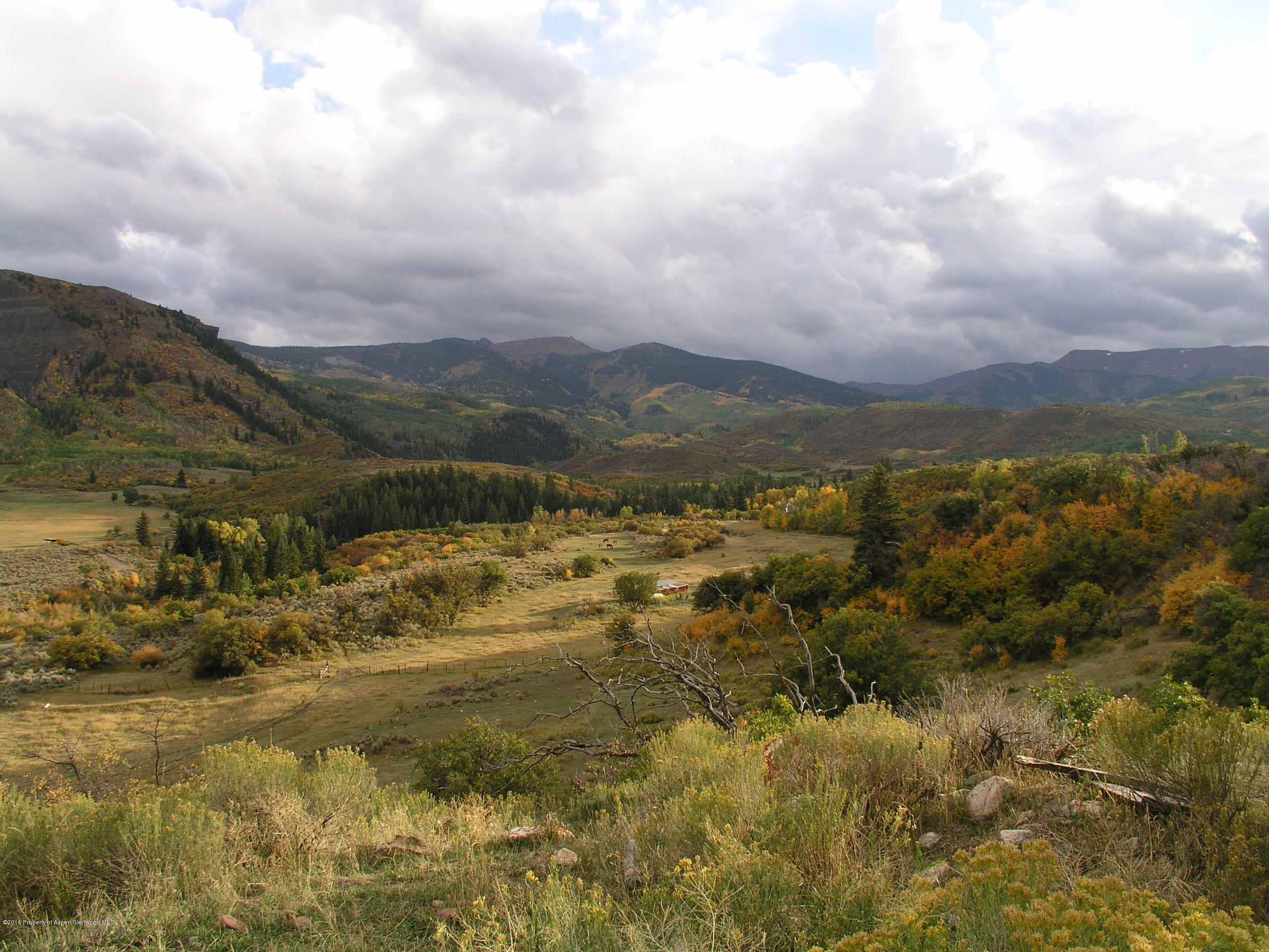 4516 Capitol Creek Road Snowmass CO 81654