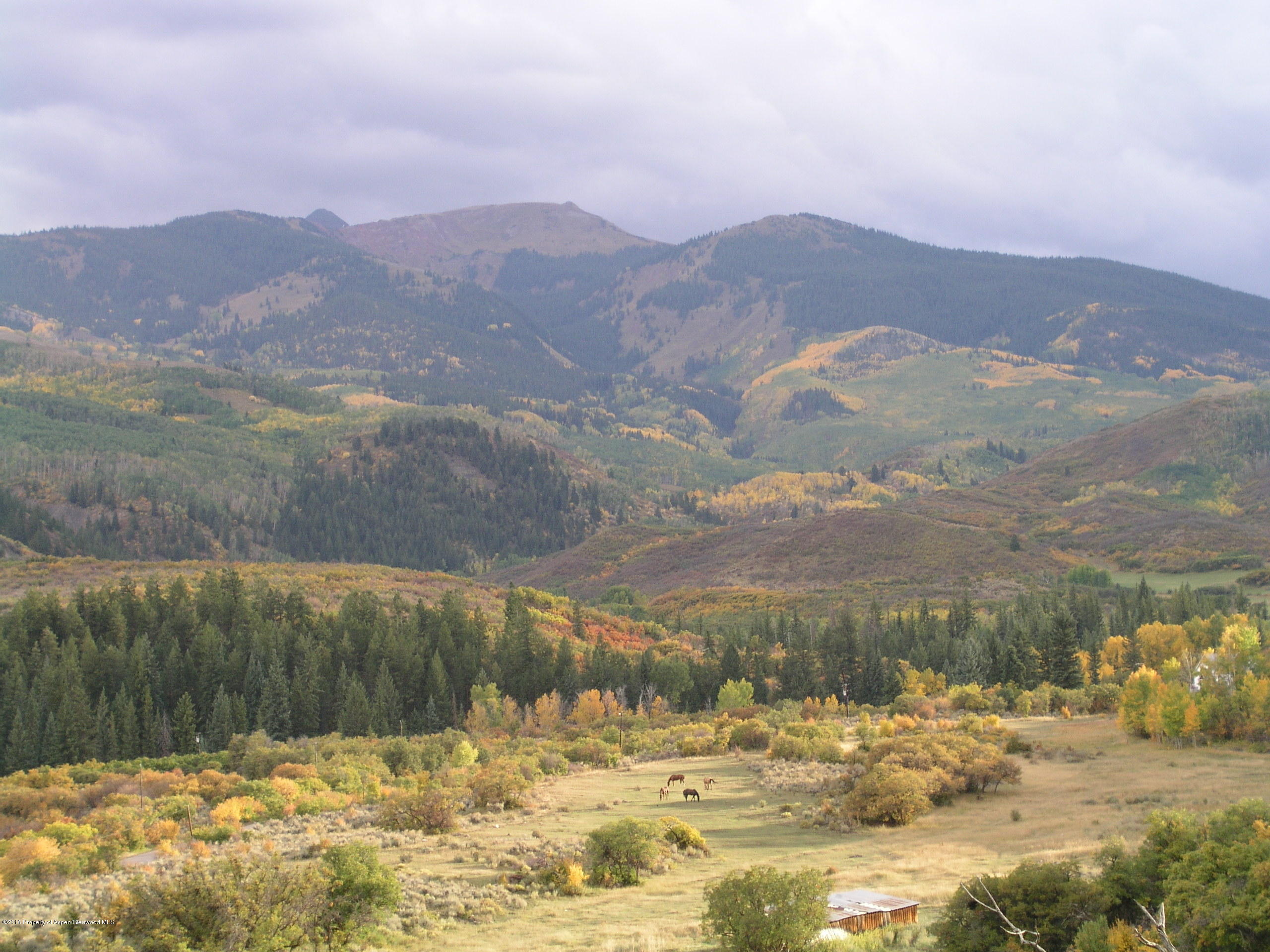 4516 Capitol Creek Road Snowmass CO 81654