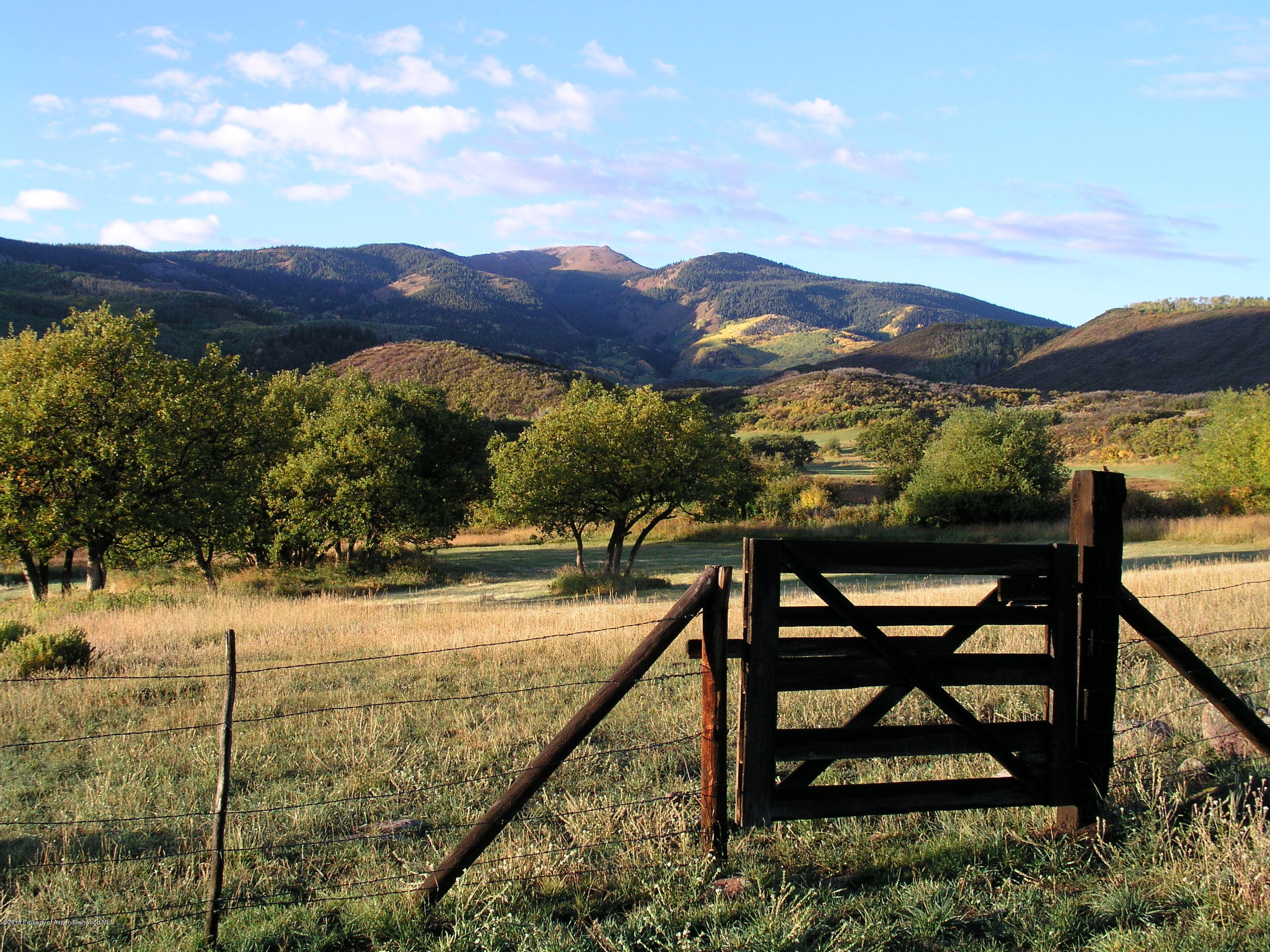 4516 Capitol Creek Road Snowmass CO 81654