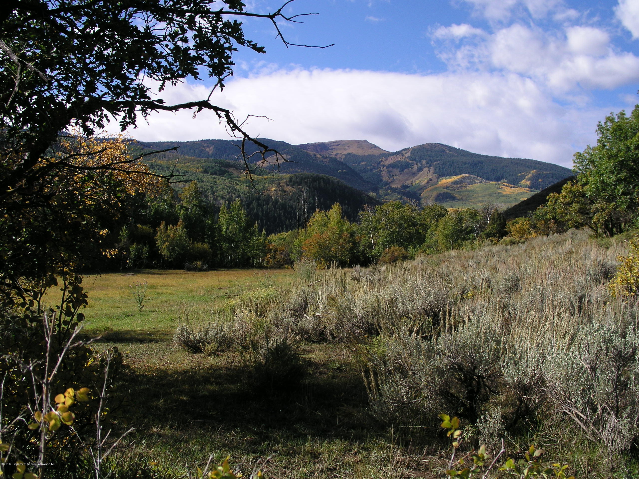 4516 Capitol Creek Road Snowmass CO 81654