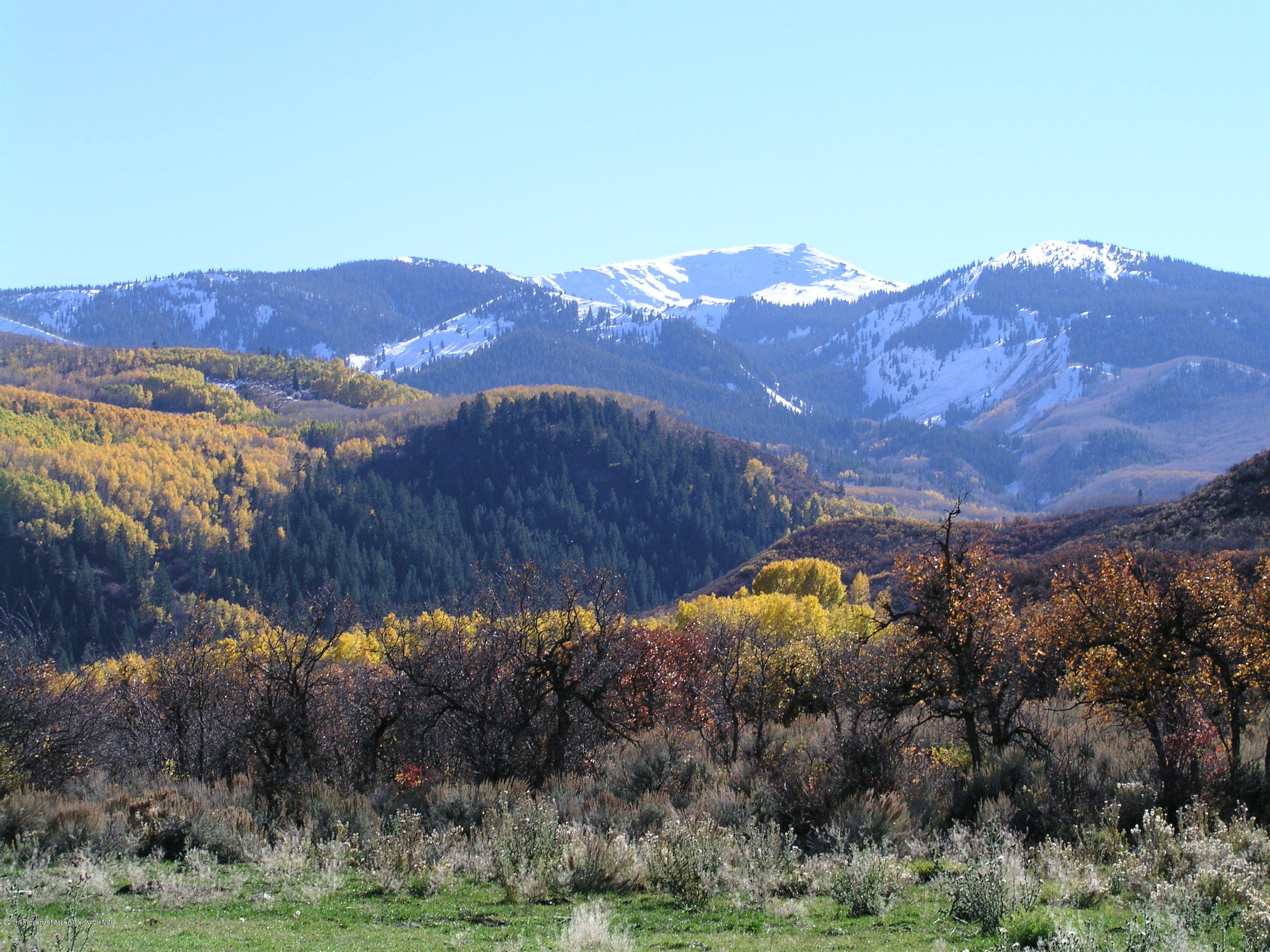 4516 Capitol Creek Road Snowmass CO 81654