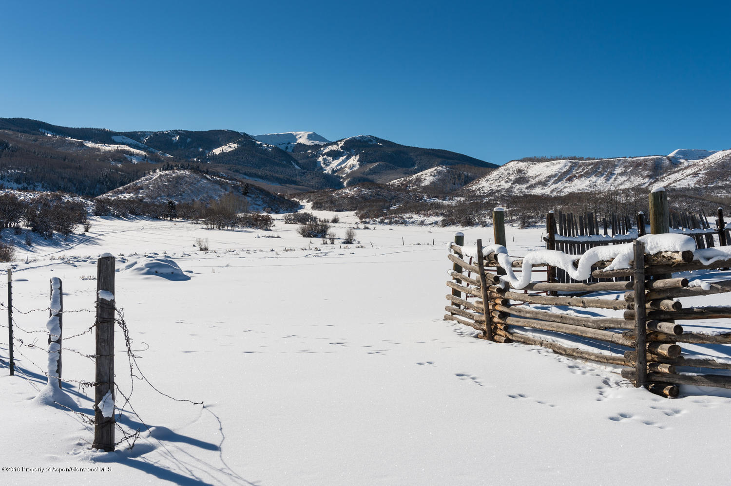 4516 Capitol Creek Road Snowmass CO 81654