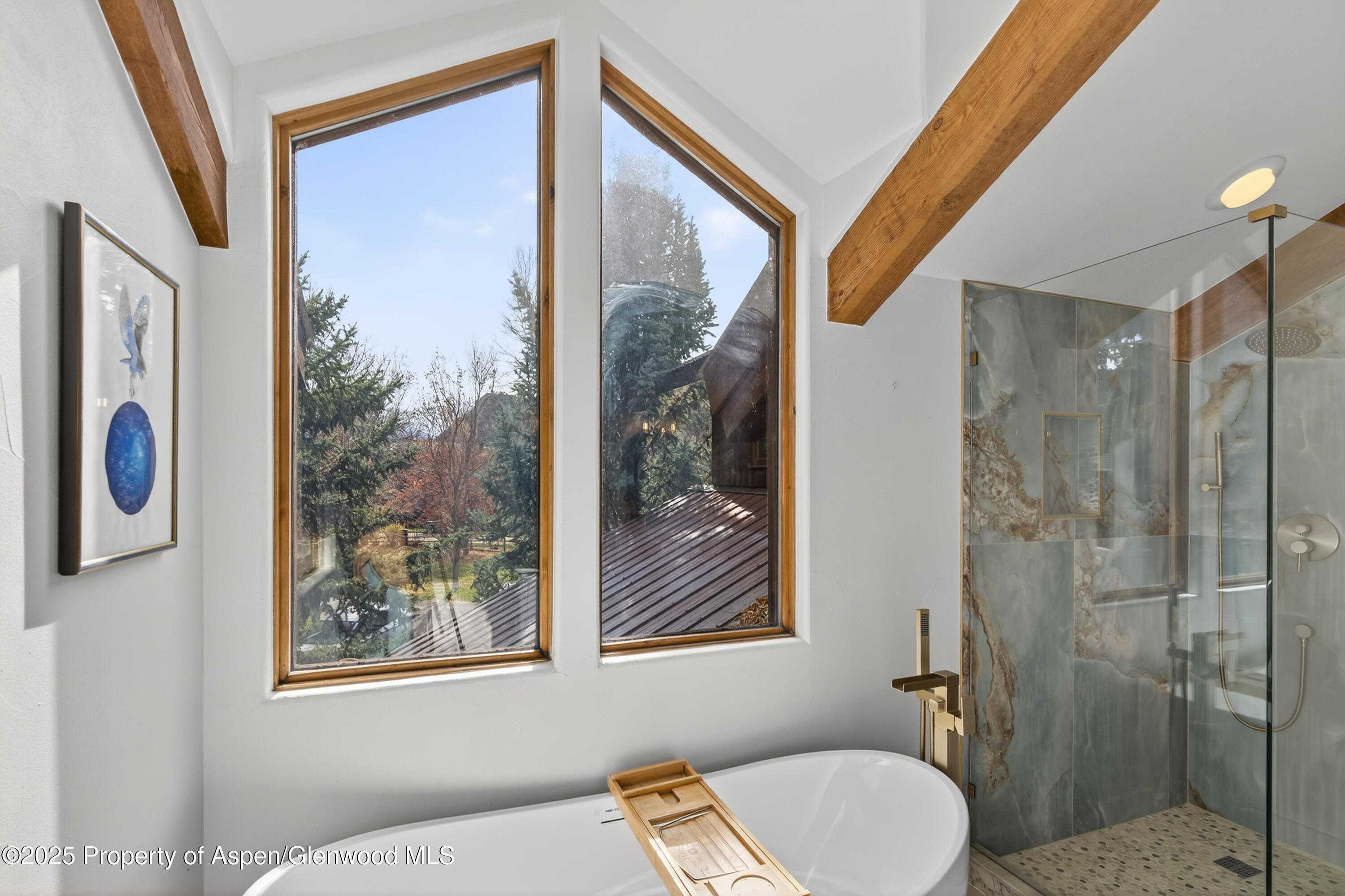 182 County Road 109 Glenwood Springs CO 81601