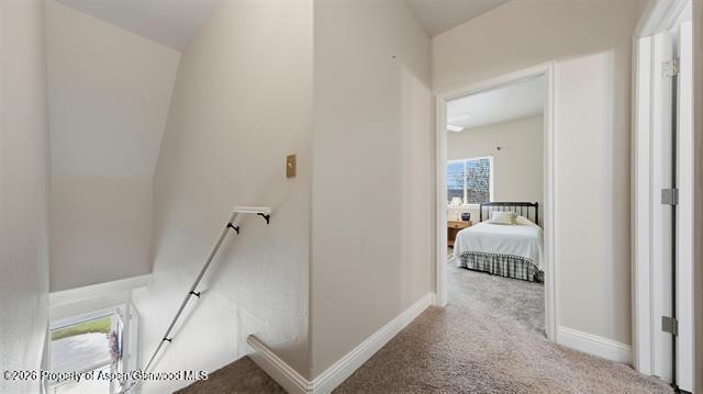 2260 Paintbrush Court Grand Junction CO 81505