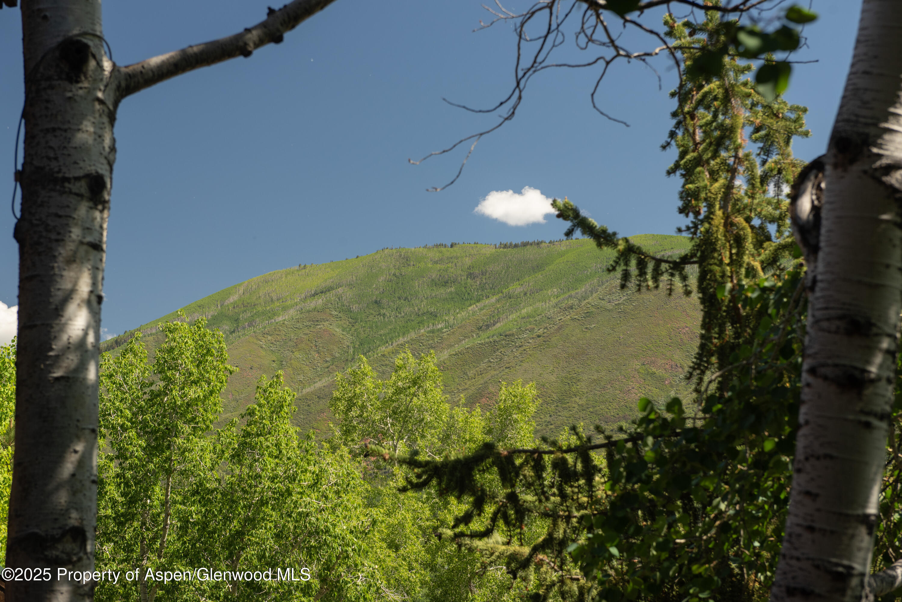 Aspen CO, 3801 Mclain Flats Road