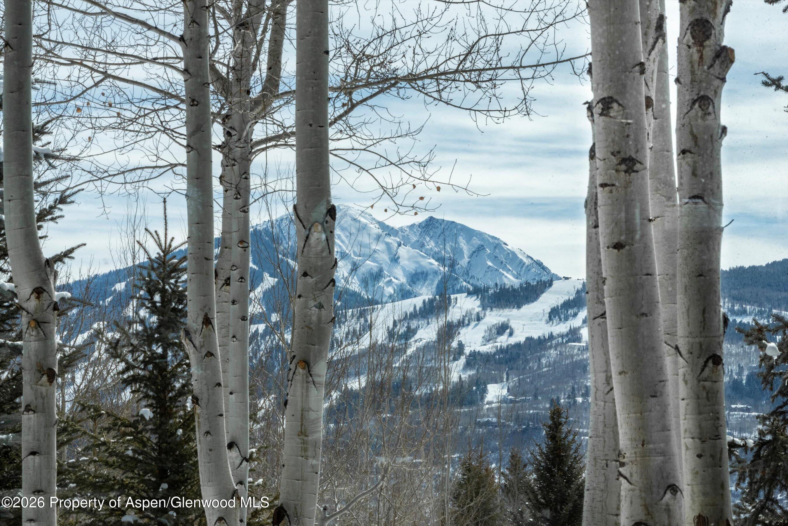 372 Sunnyside Lane Aspen CO 81611