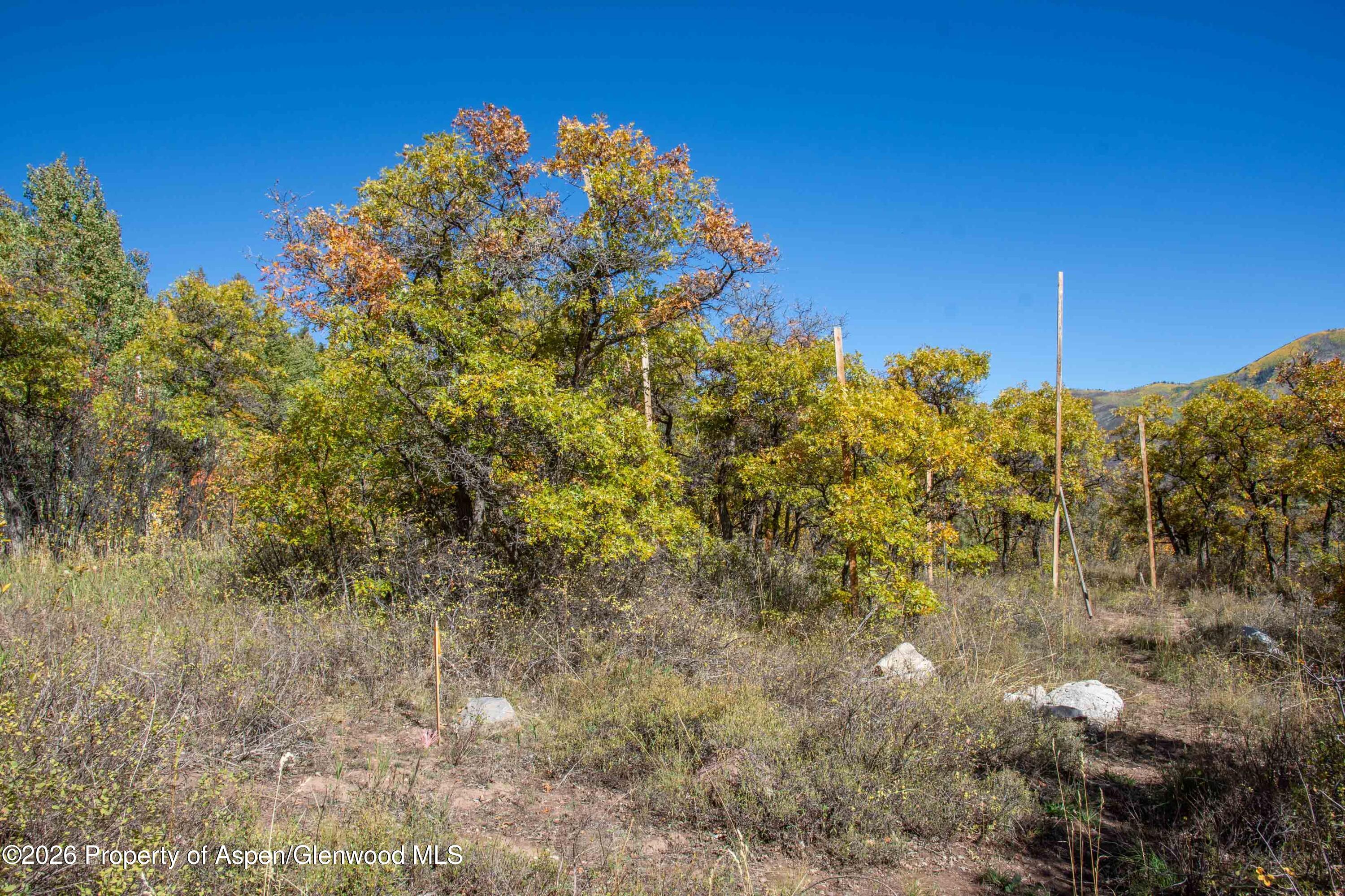 1470/1400 Tiehack Road Aspen CO 81611