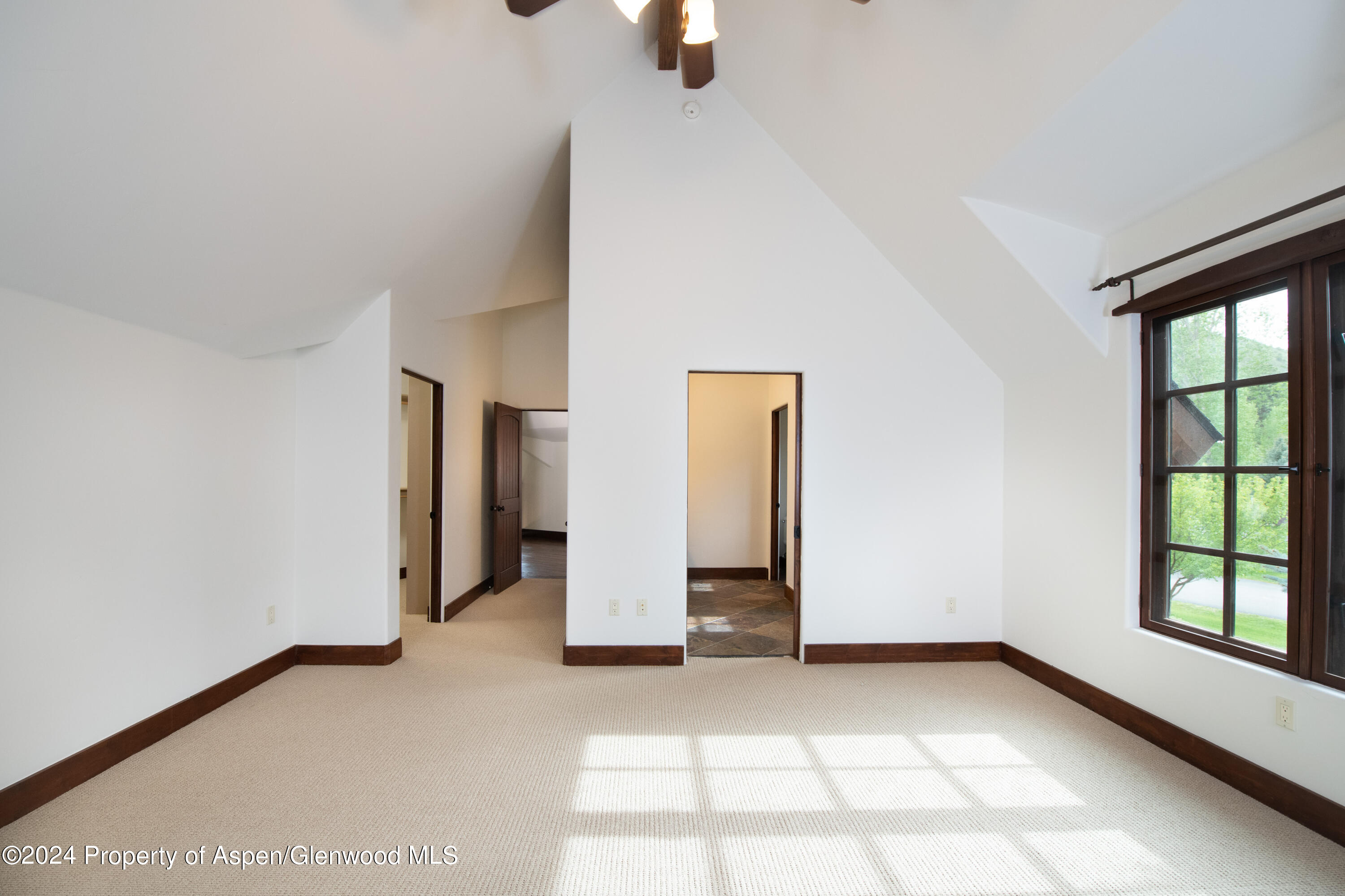 87 Bristlecone Drive Carbondale CO 81623