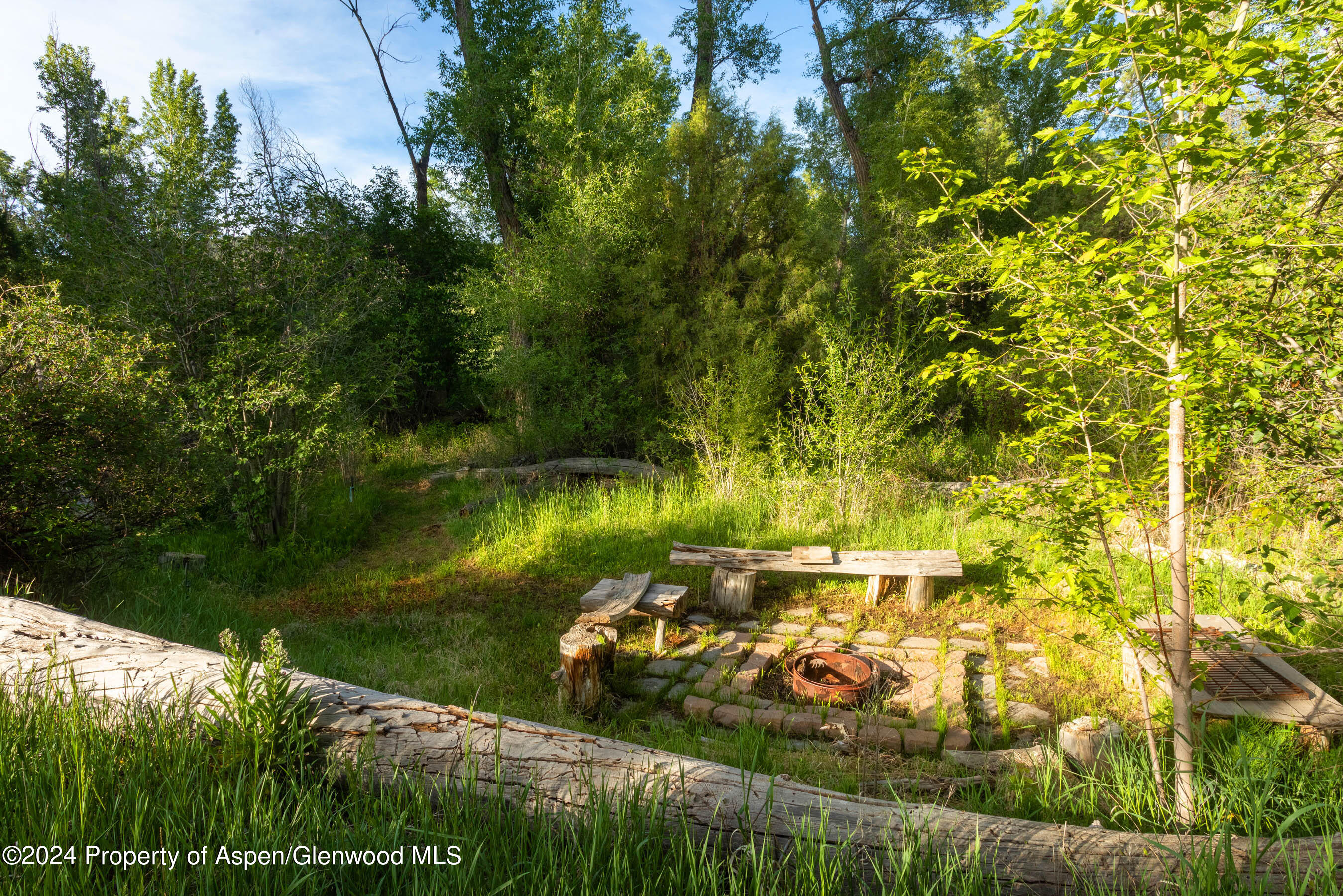 87 Bristlecone Drive Carbondale CO 81623