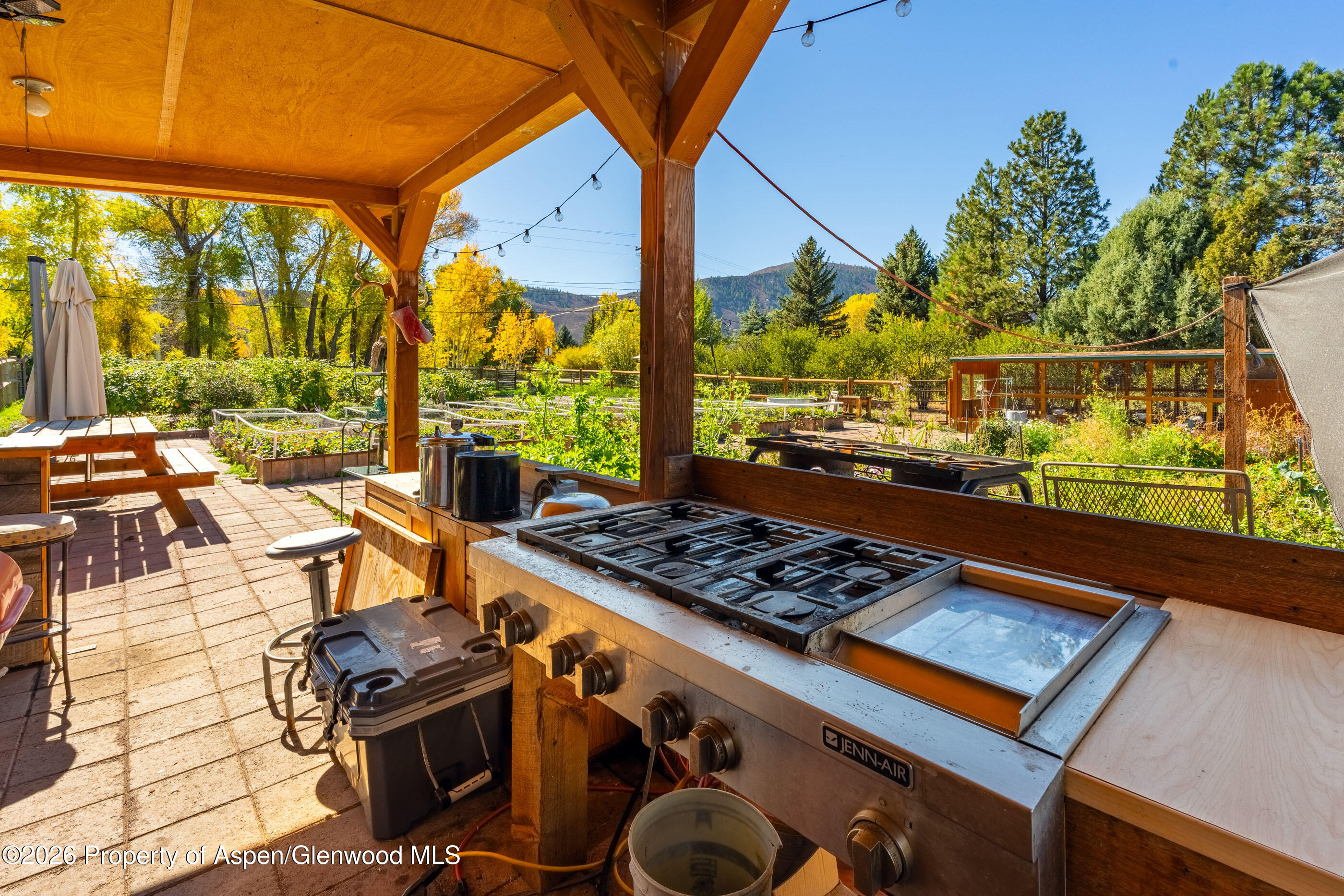 1881 Emma Road Basalt CO 81621