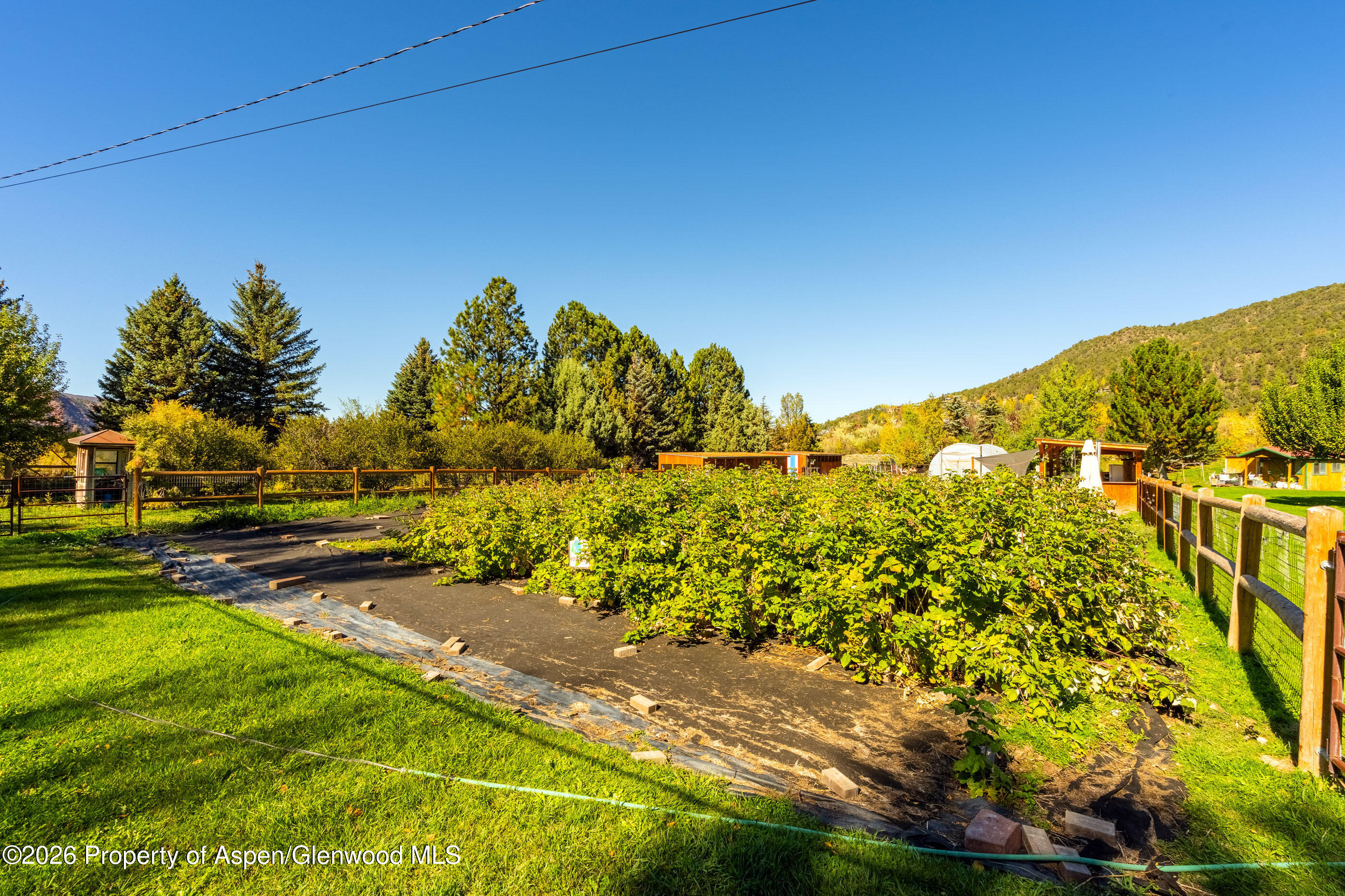 1881 Emma Road Basalt CO 81621