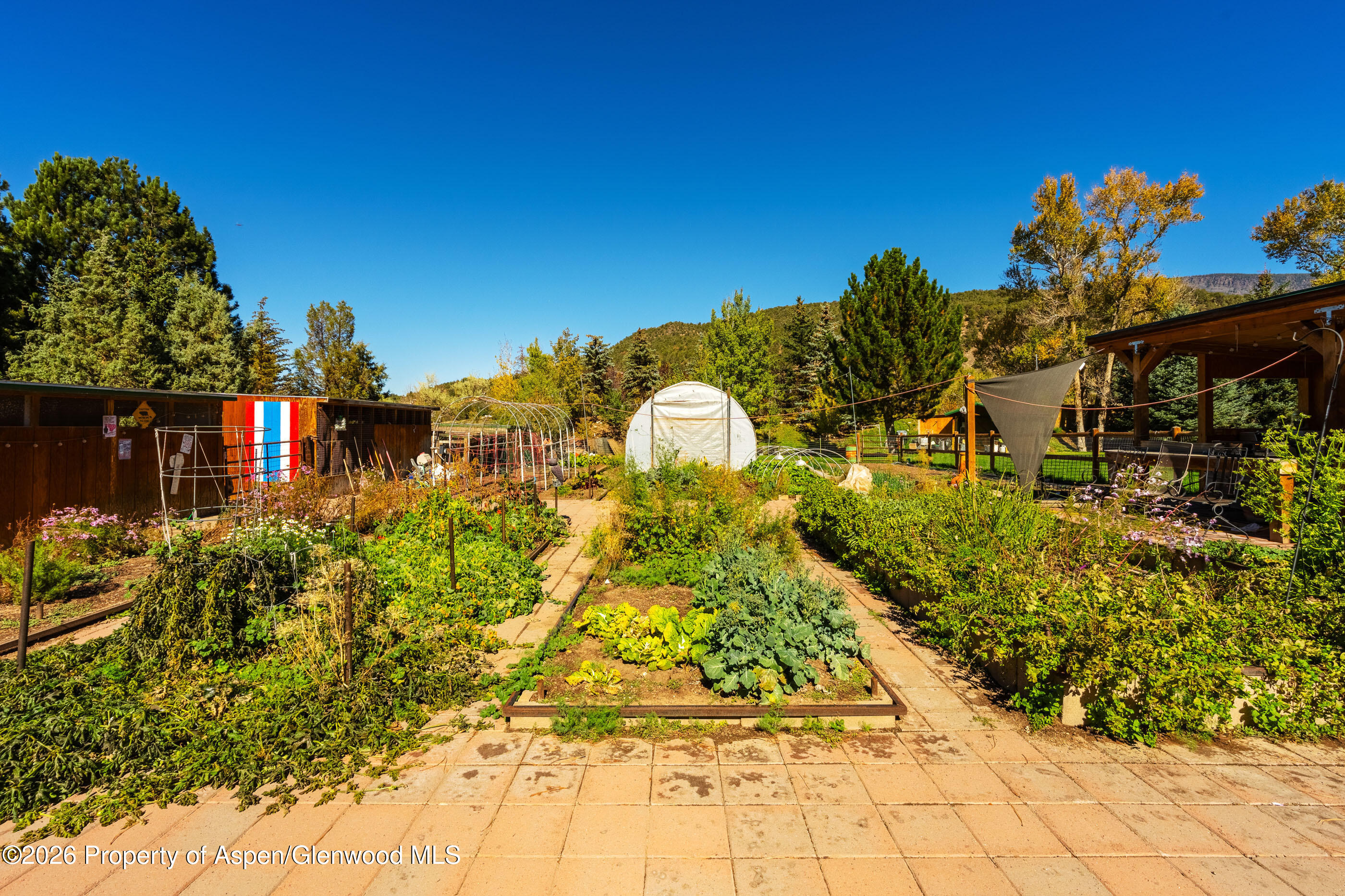 1881 Emma Road Basalt CO 81621