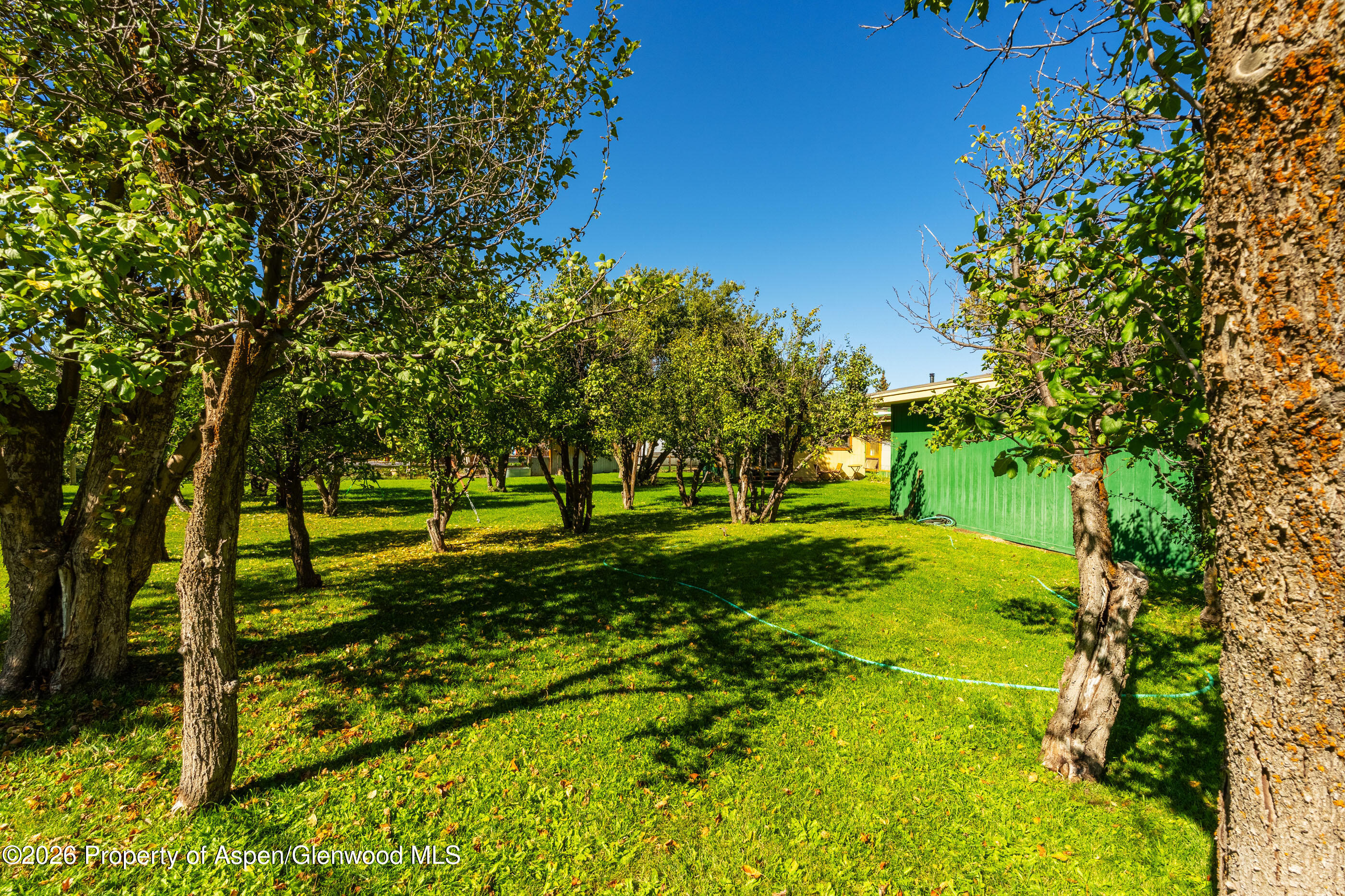 1881 Emma Road Basalt CO 81621