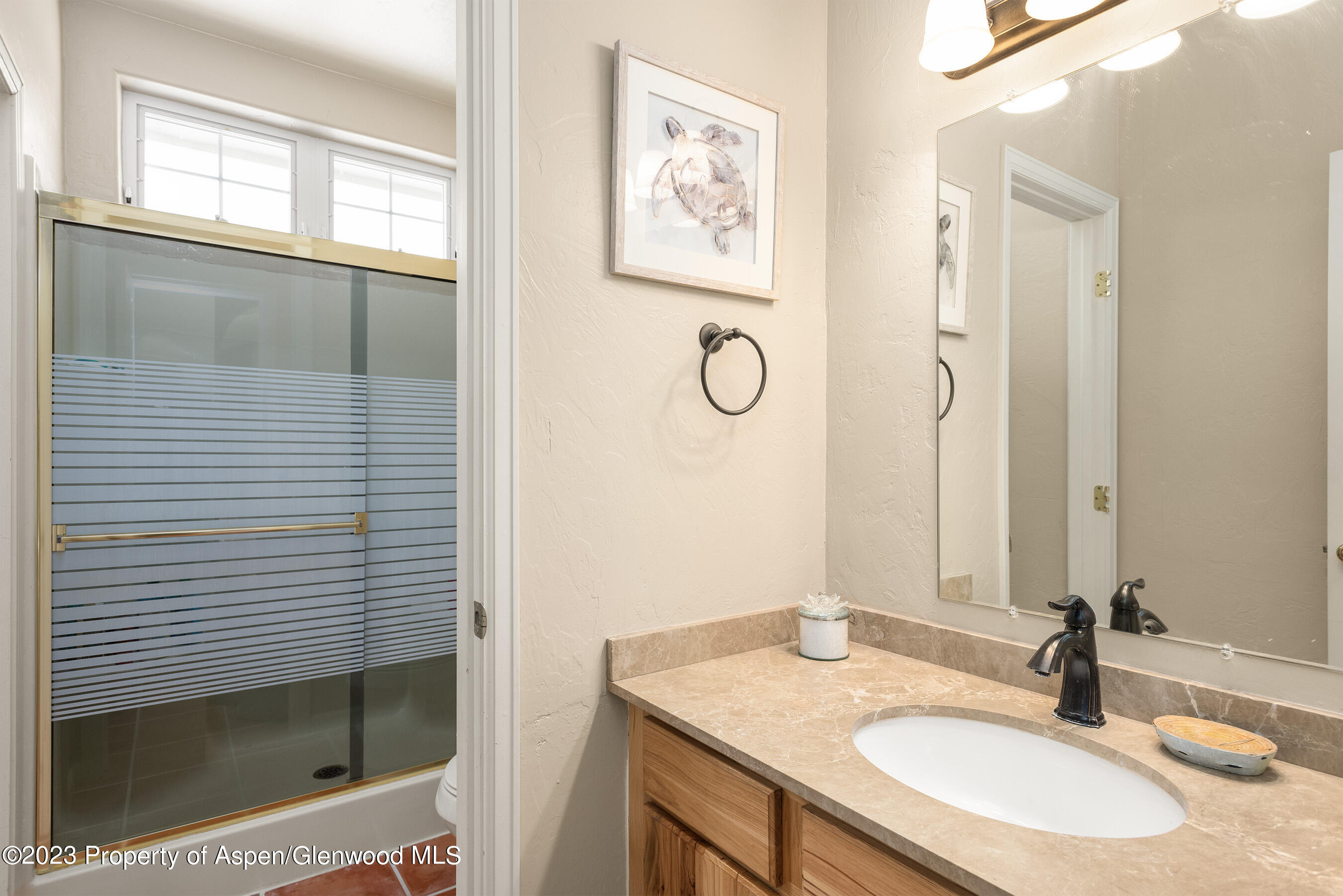 156 Dolores Circle Glenwood Springs CO 81601