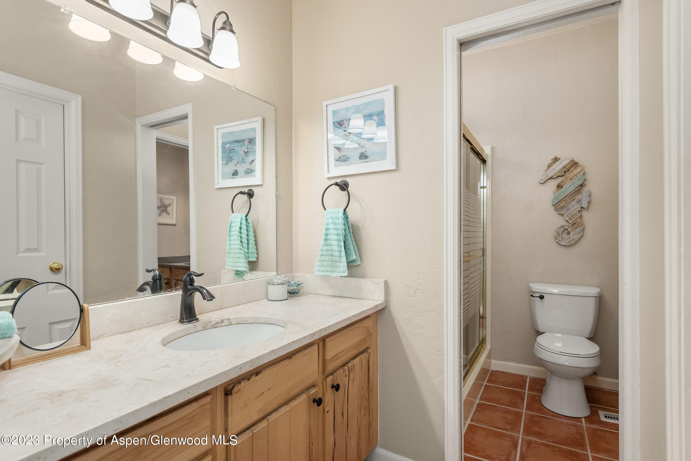 156 Dolores Circle Glenwood Springs CO 81601