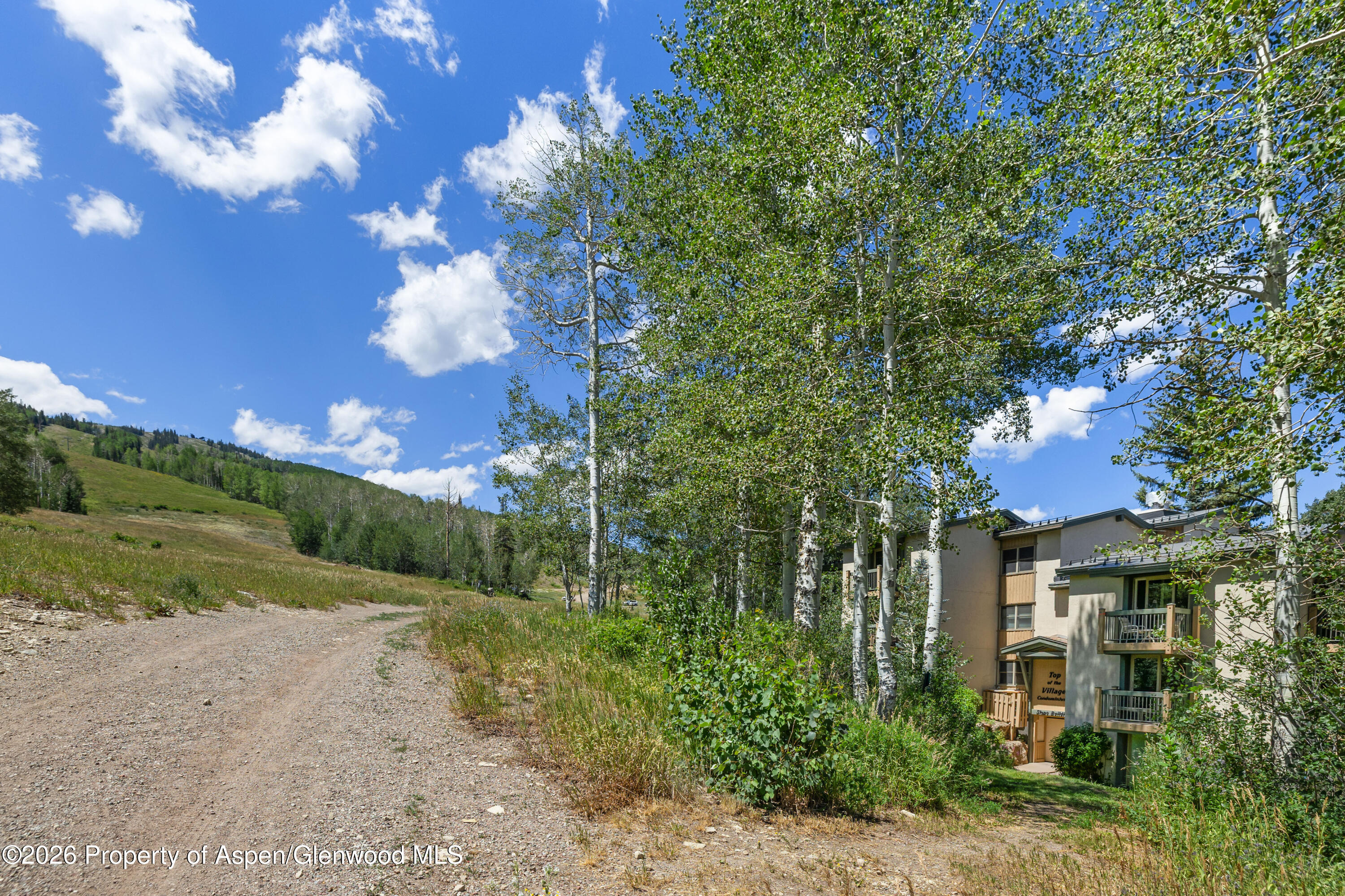 855 Carriage Way Snowmass Village CO 81615