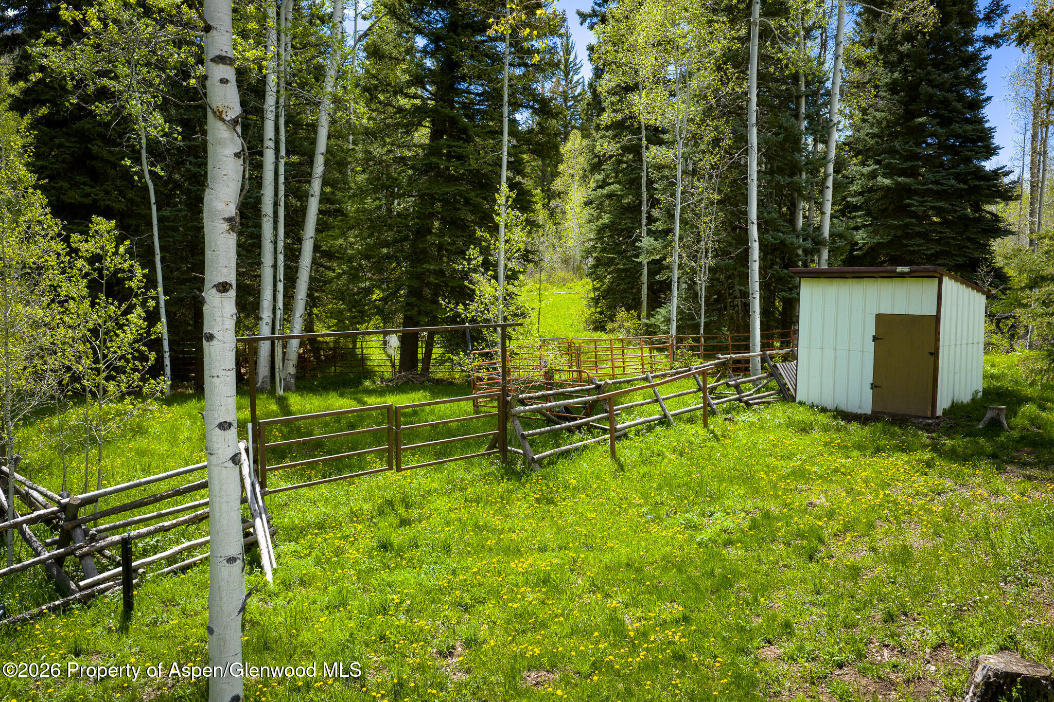 12123 Co Road 313 New Castle CO 81647